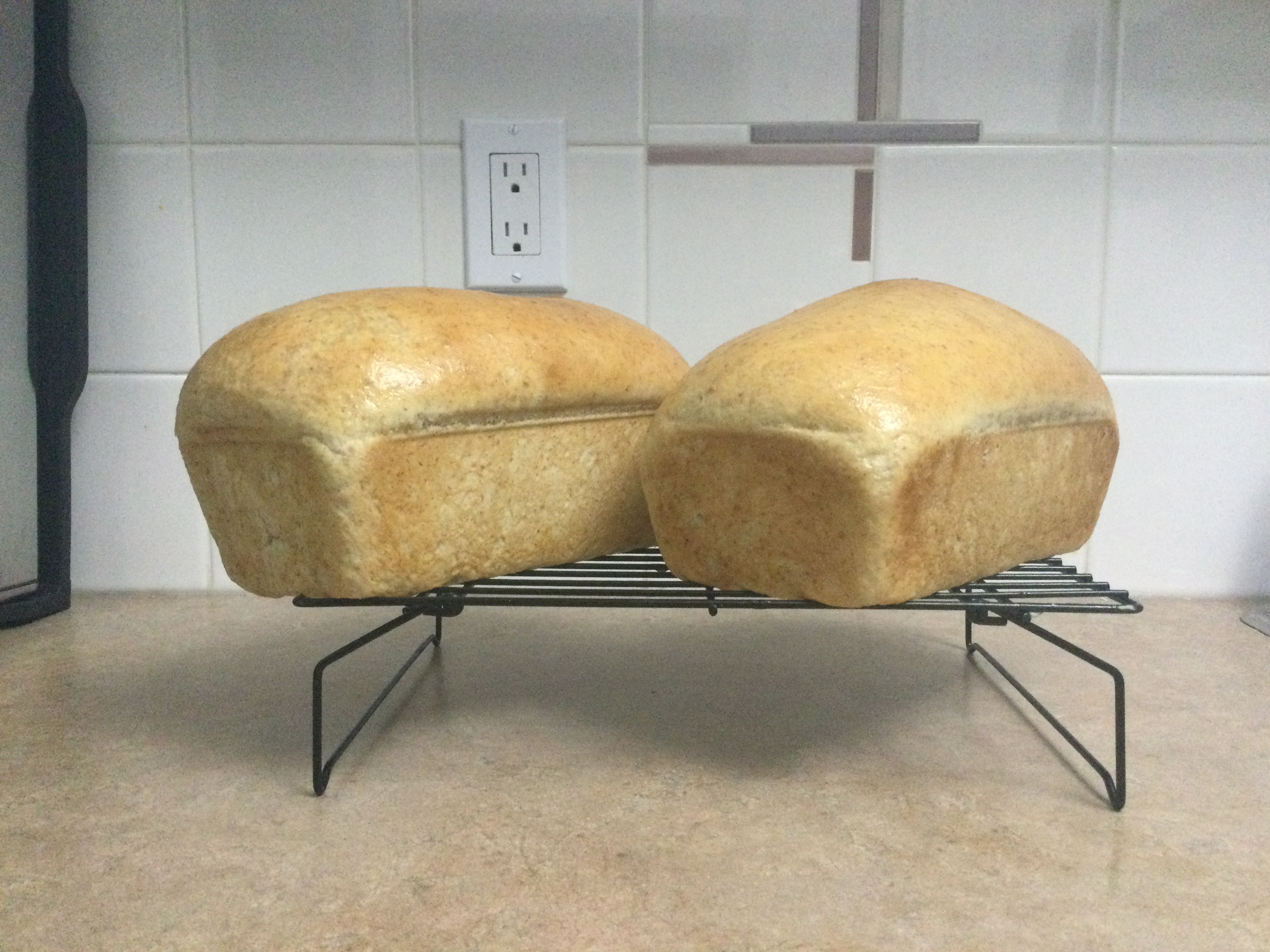 Simple Whole Wheat Bread 