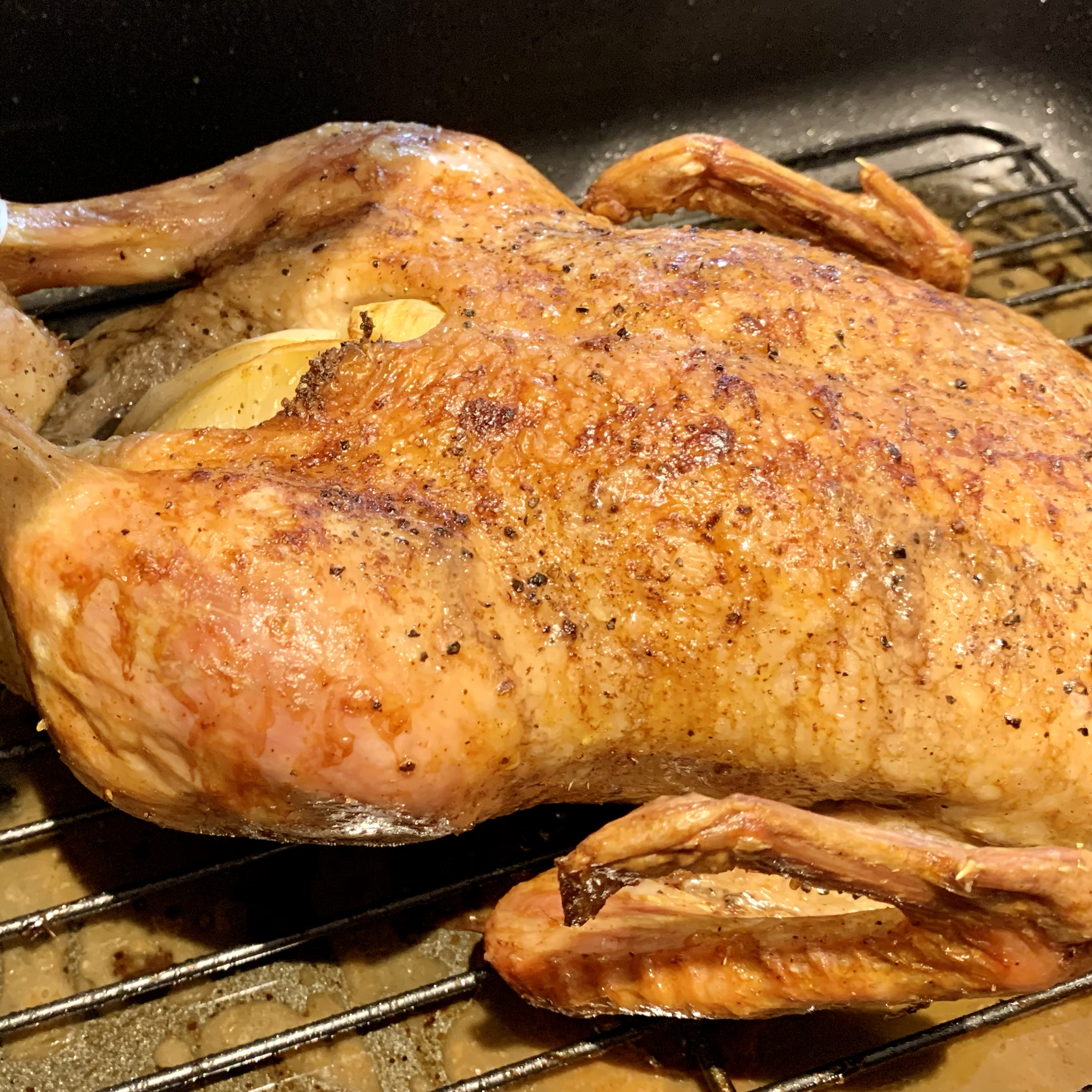 Roasted Duck 