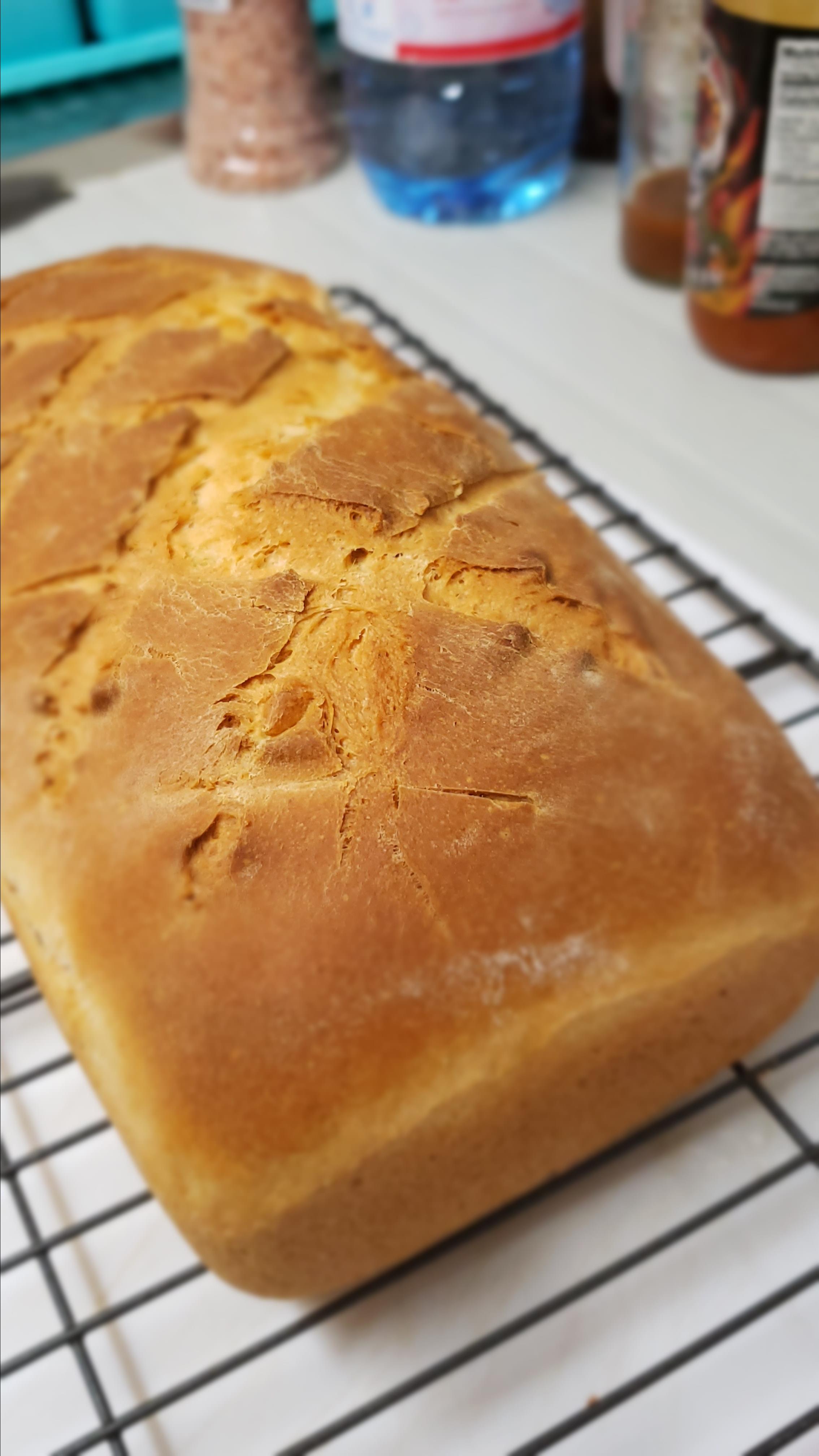 Sourdough Bread I 