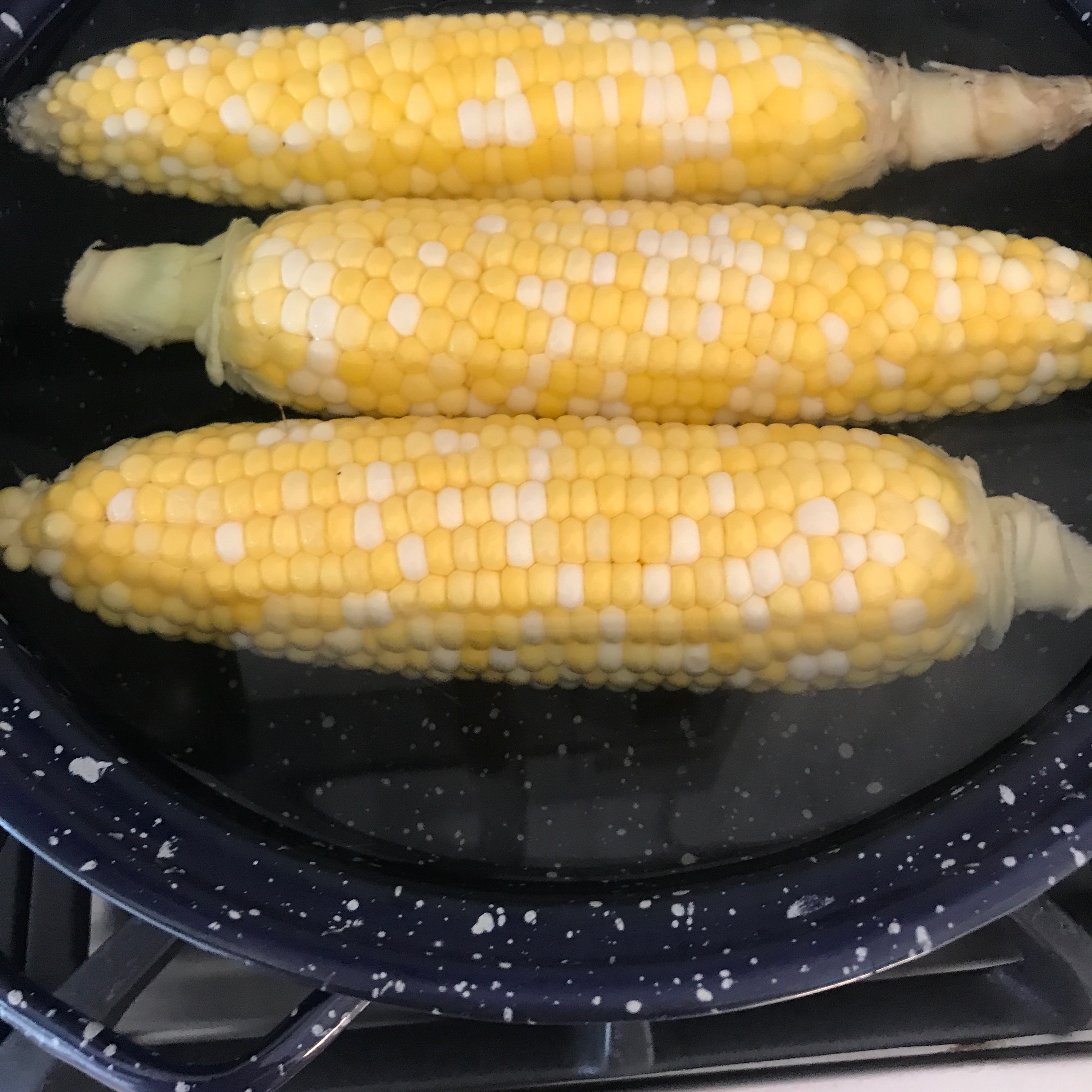 Delicious and Easy Corn on the Cob trommom