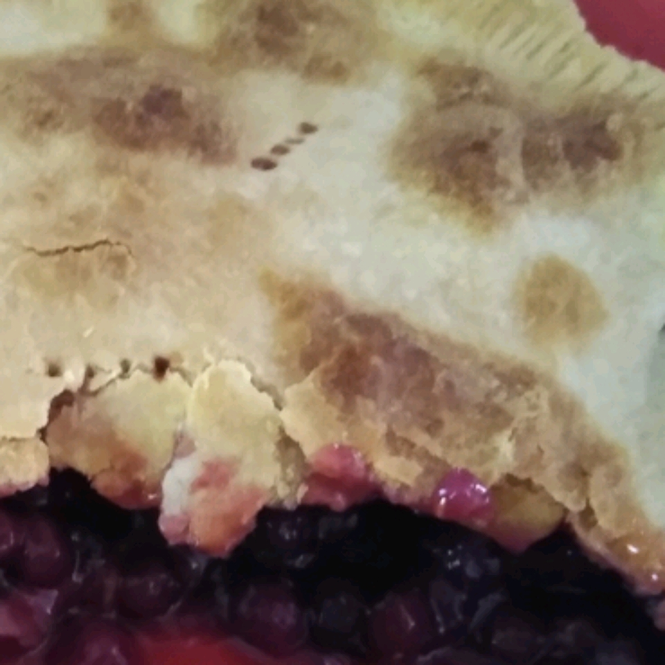Saskatoon Berry (Serviceberry) Pie 
