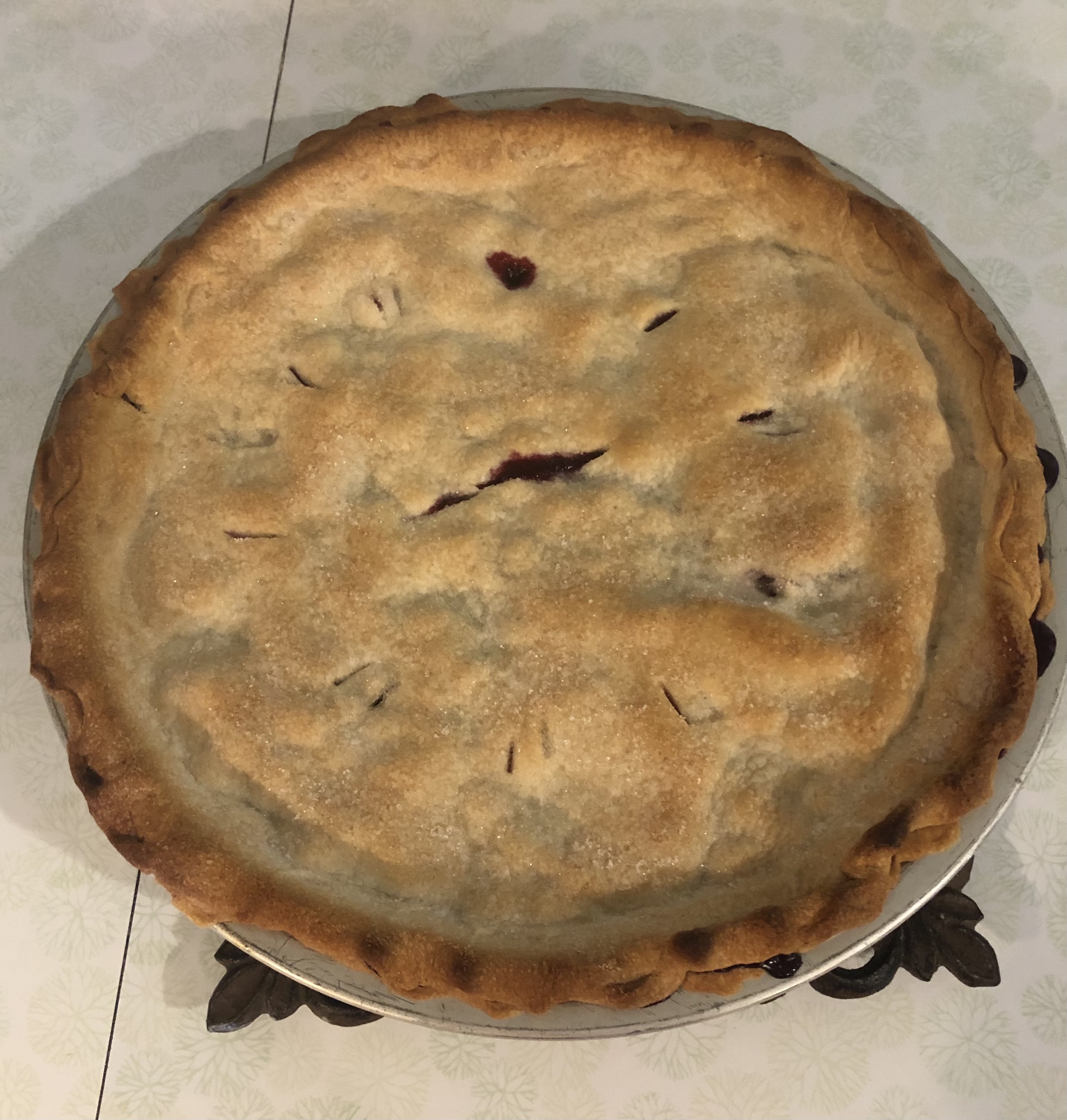 Huckleberry Pie Jenny Clark
