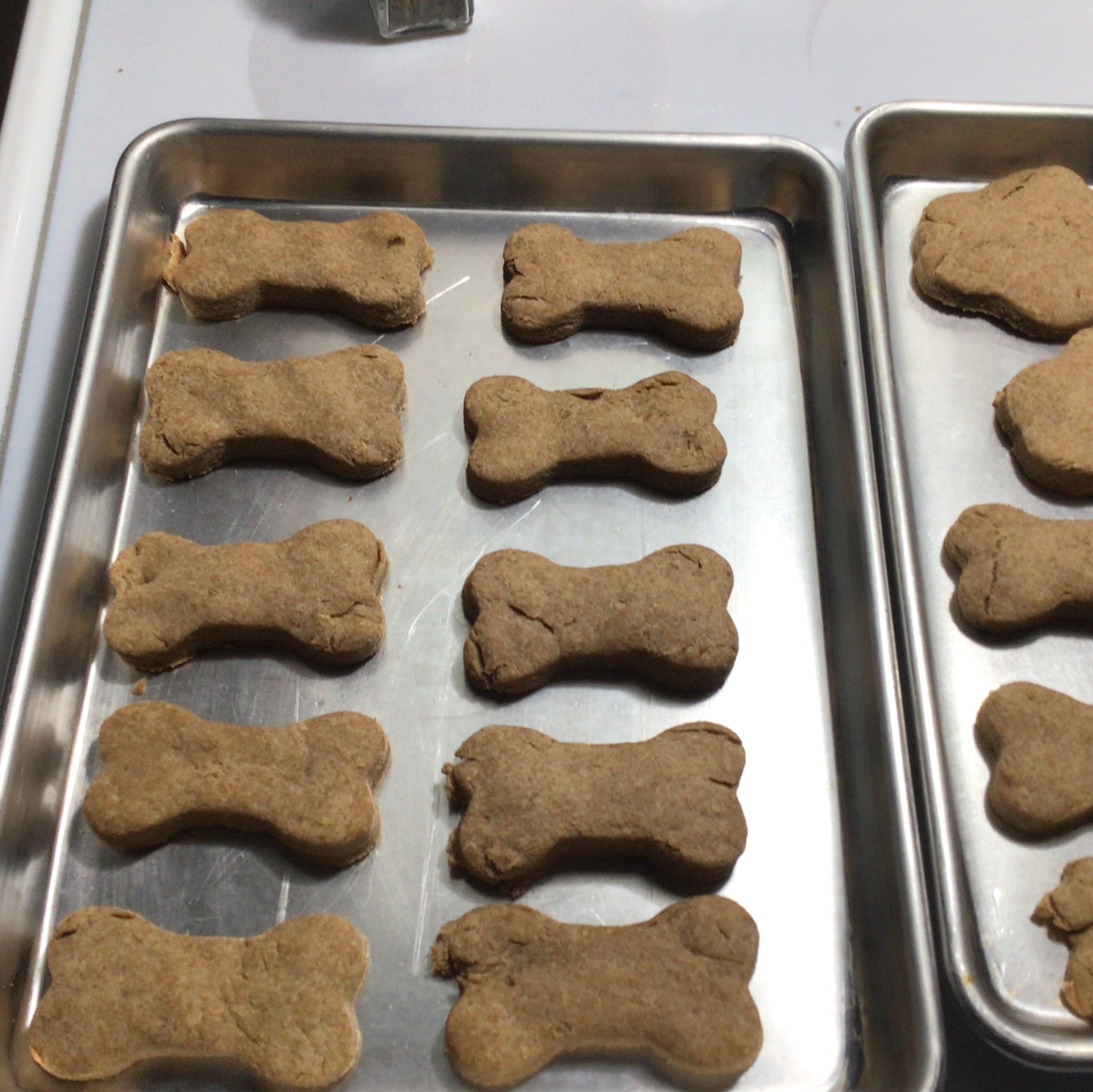 Dog Biscuits I Charlie Harris