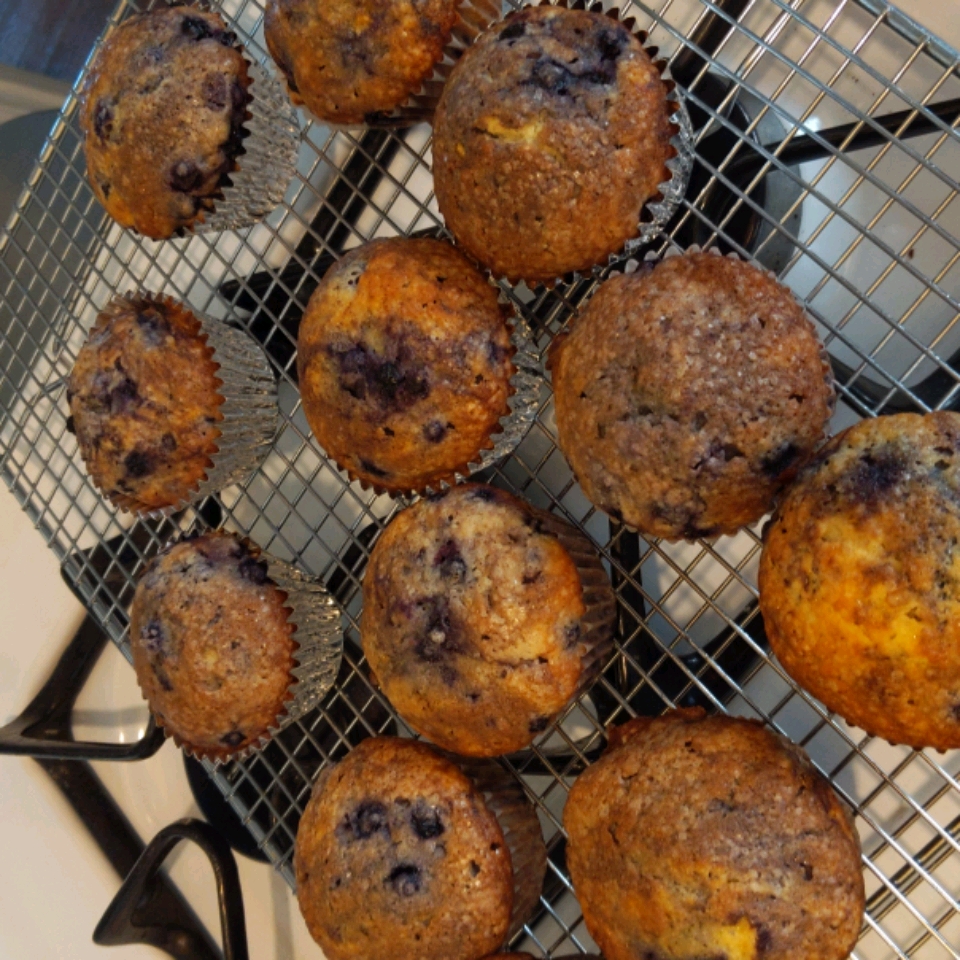 Best of the Best Blueberry Muffins 