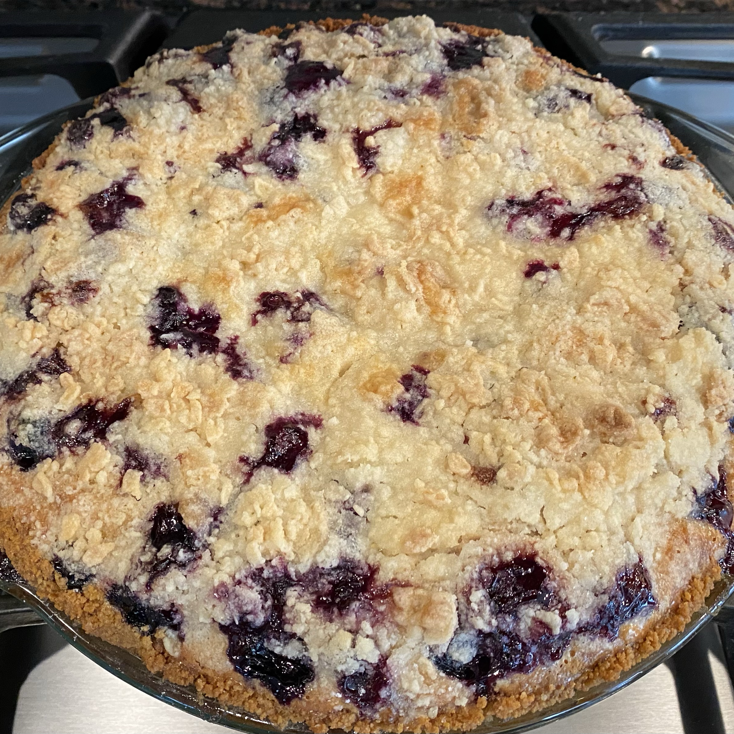 Creamy Blueberry Pie Betsy