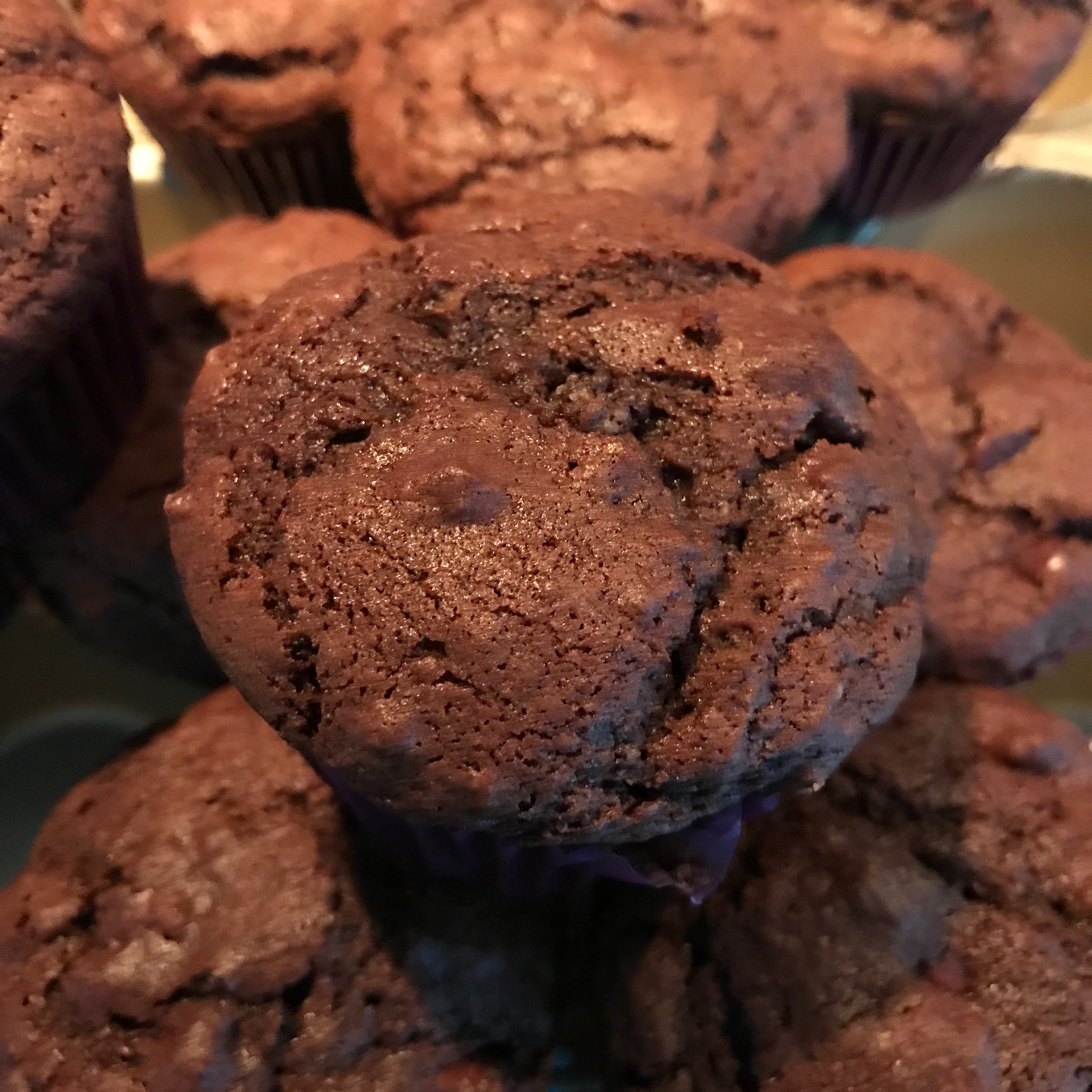 Chocolate Chocolate Chip Muffins 