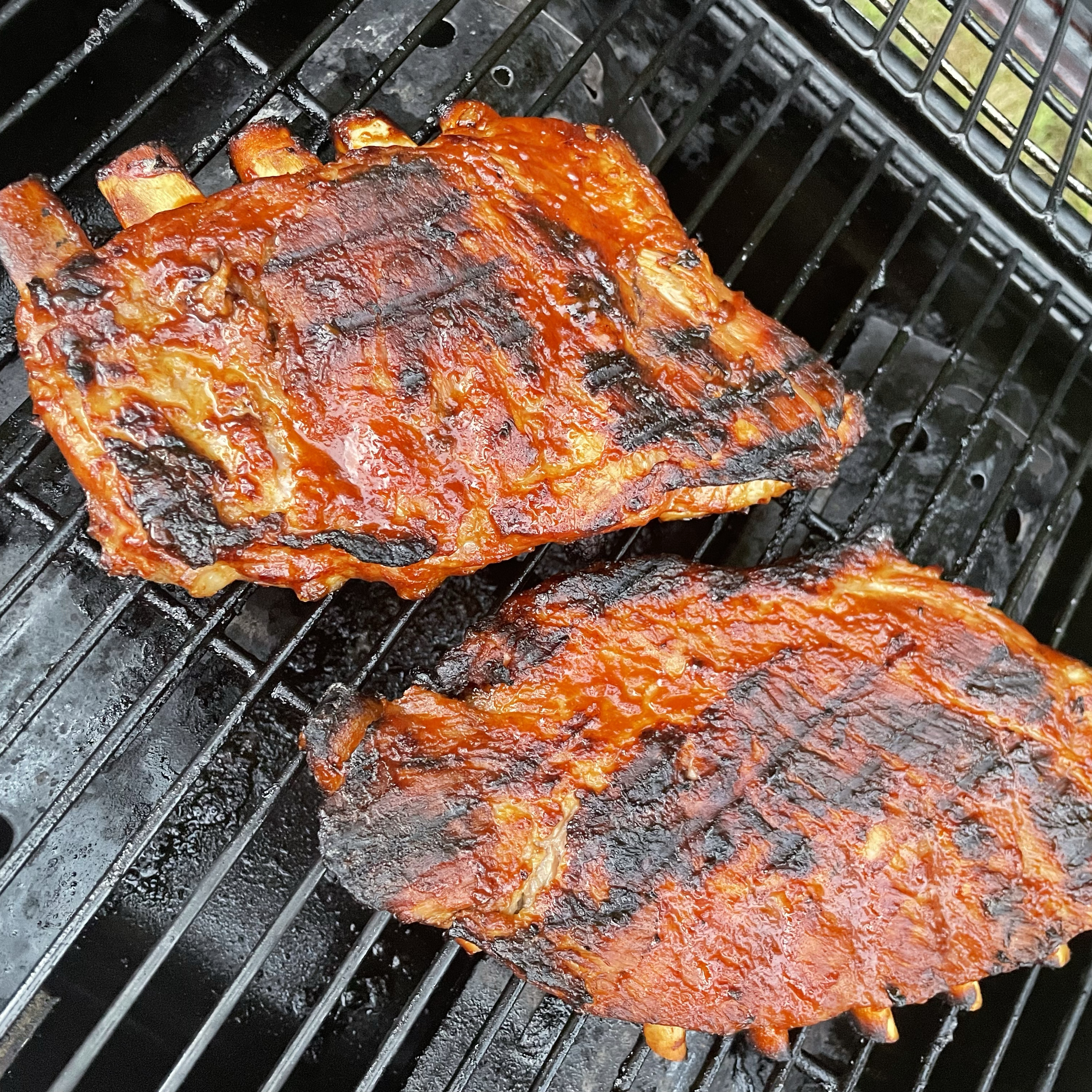 Southern Grilled Barbecued Ribs 