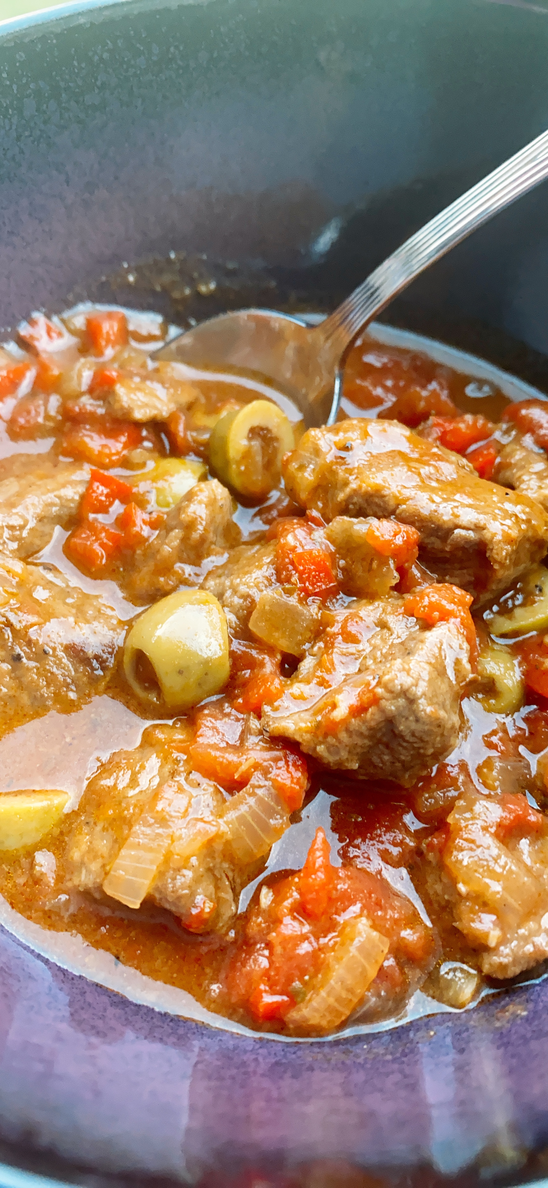 Hearty Spanish Beef Stew