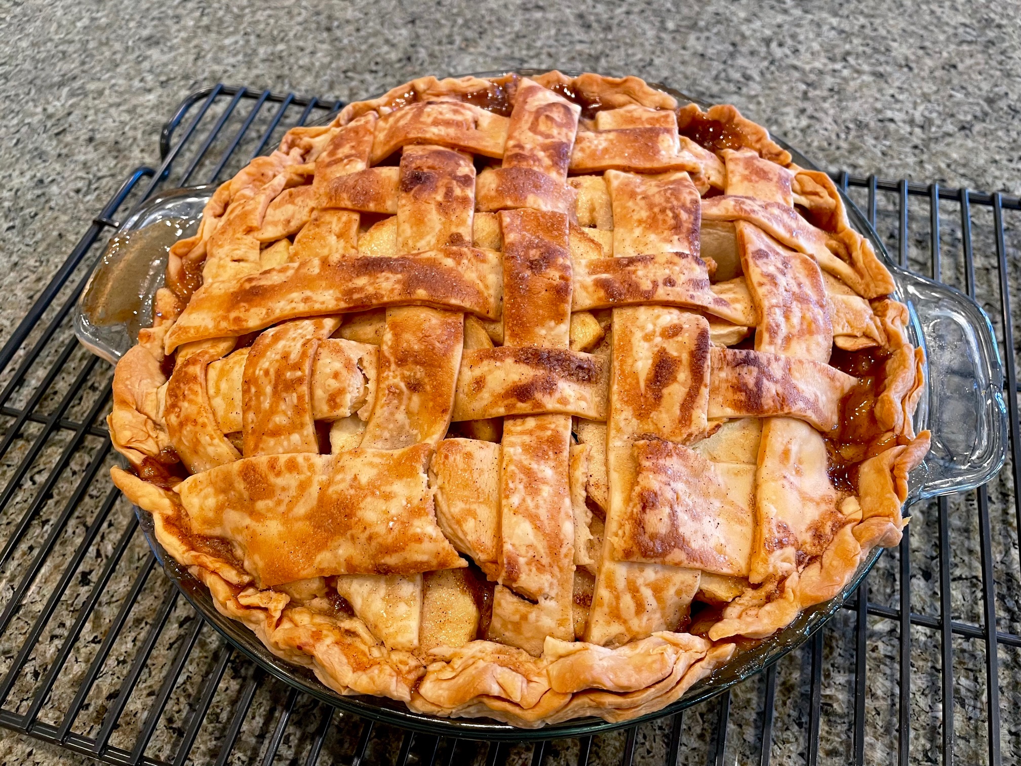 Chef John's Easy Apple Pie CanarySong
