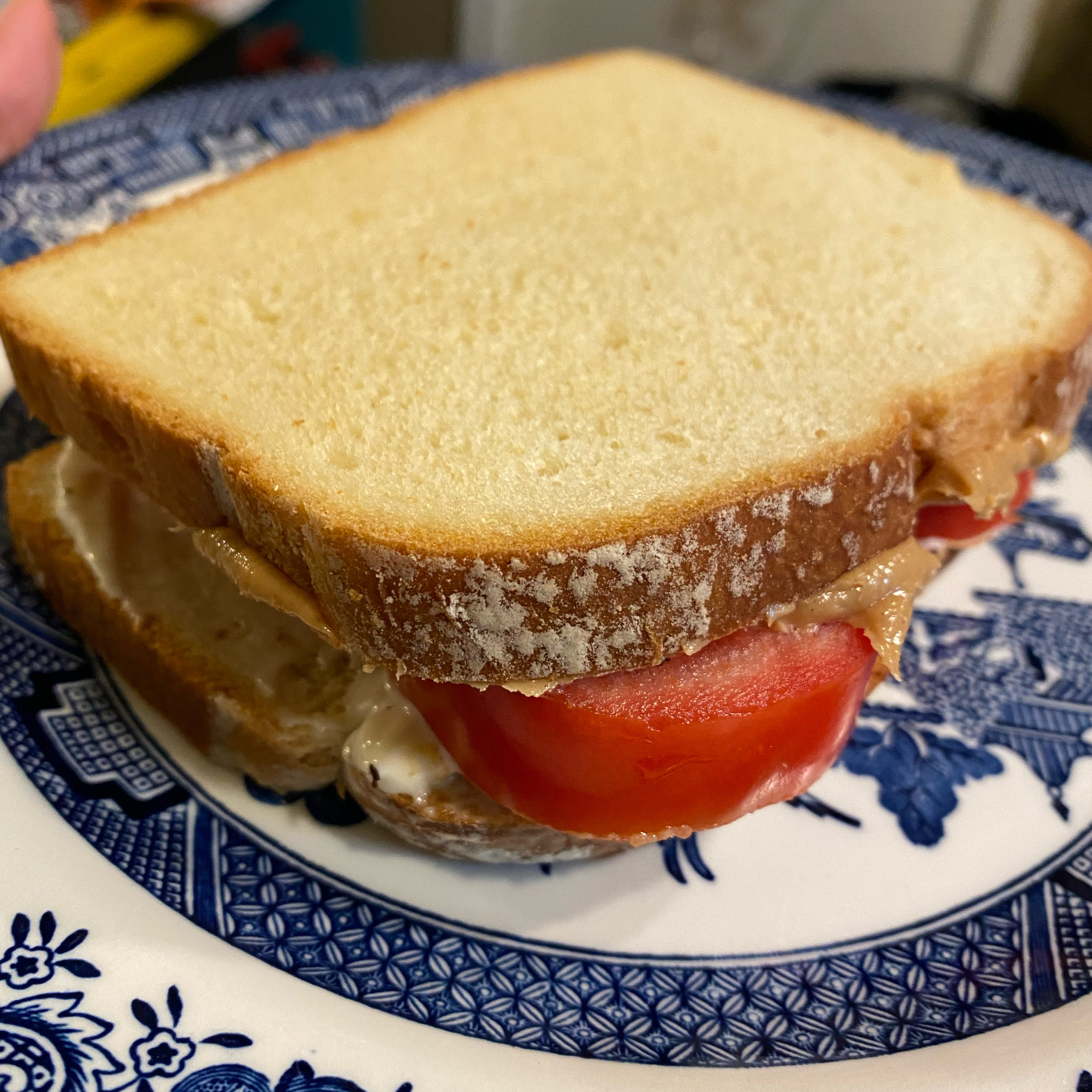 Simple Peanut Butter and Tomato Sandwich Sharon Poliarco Van Fleet