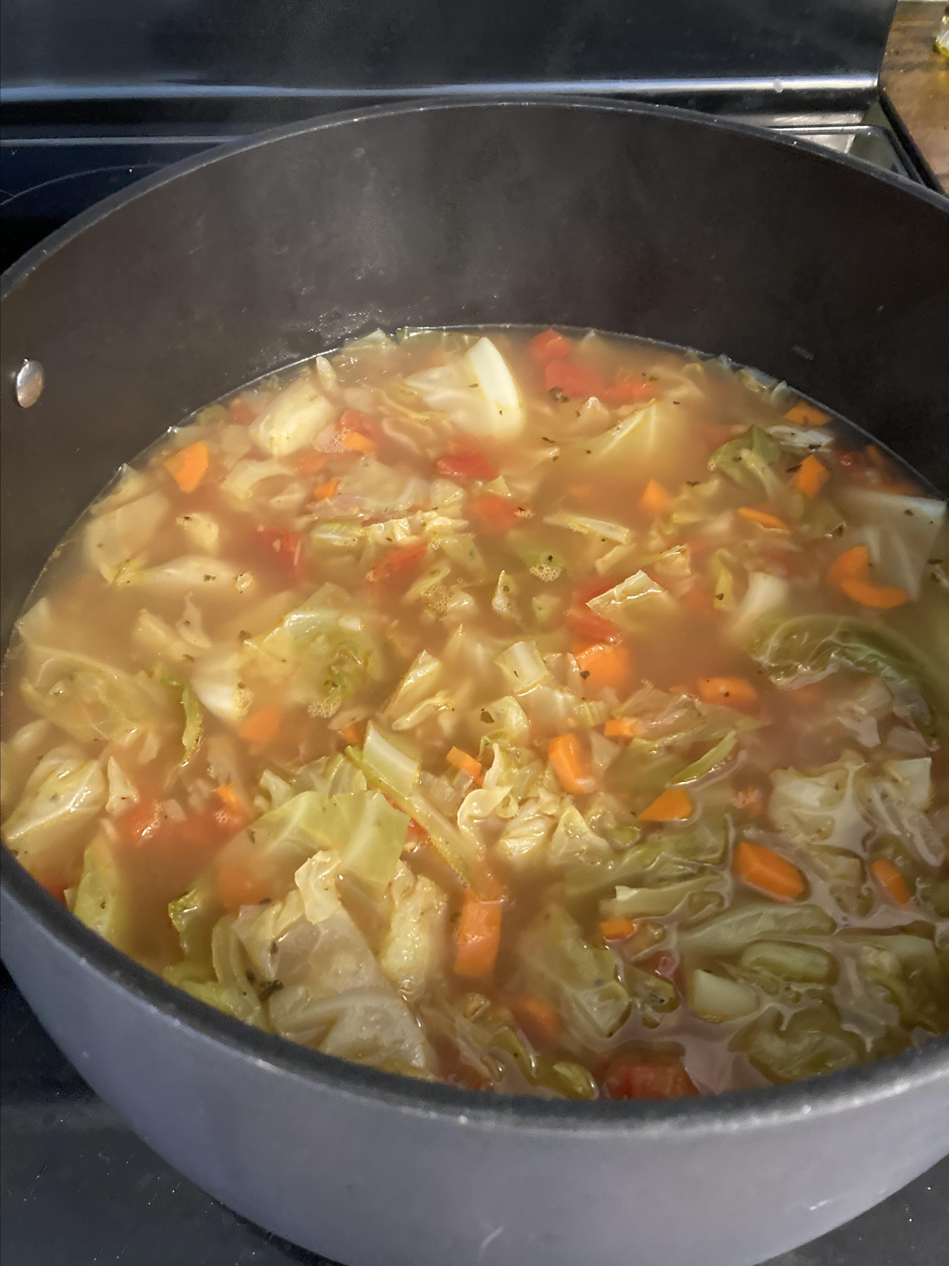 Healing Cabbage Soup Rosey