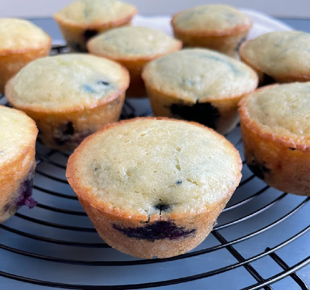World's Best Lemon Blueberry Muffins 