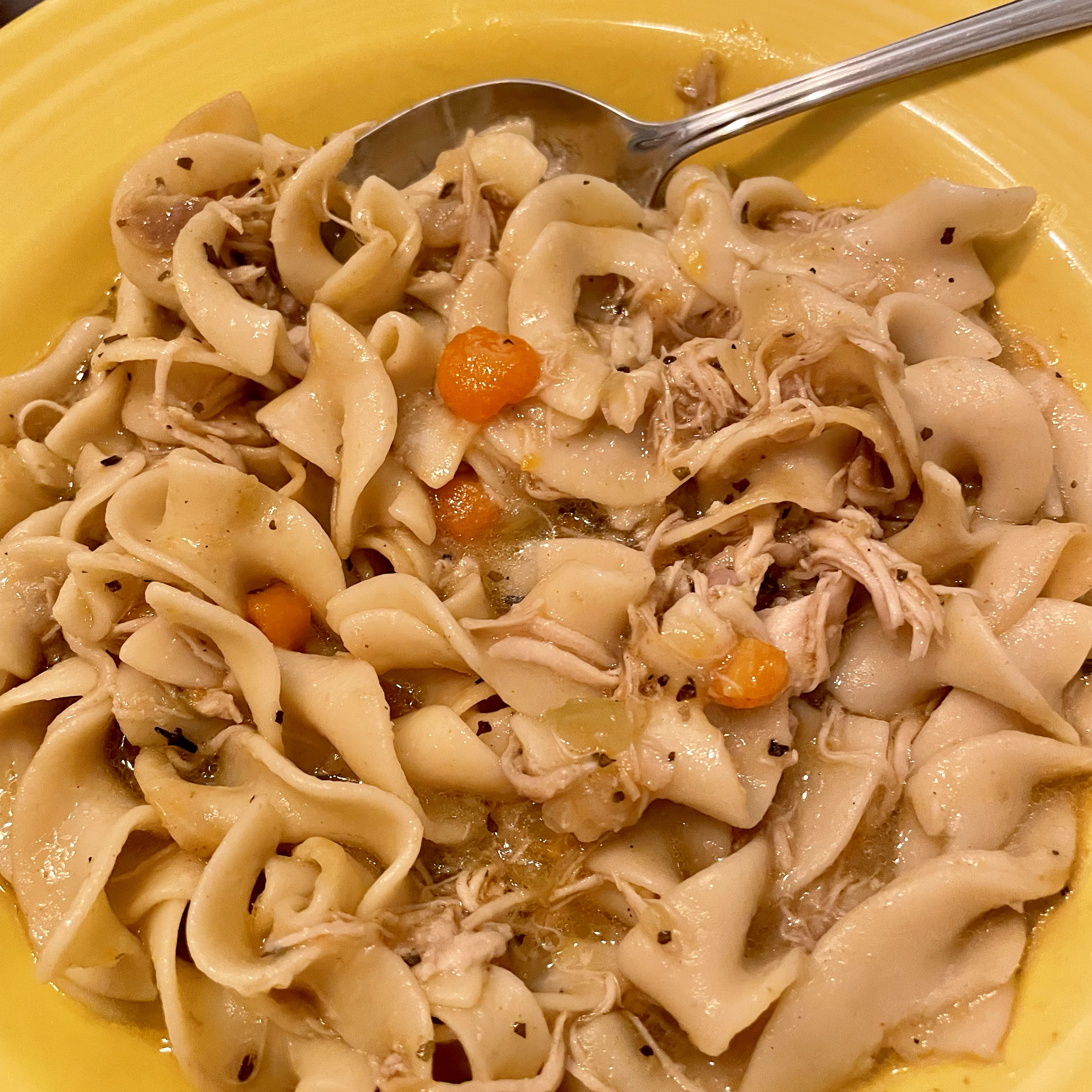 Instant Pot&reg; Chicken Noodle Soup 