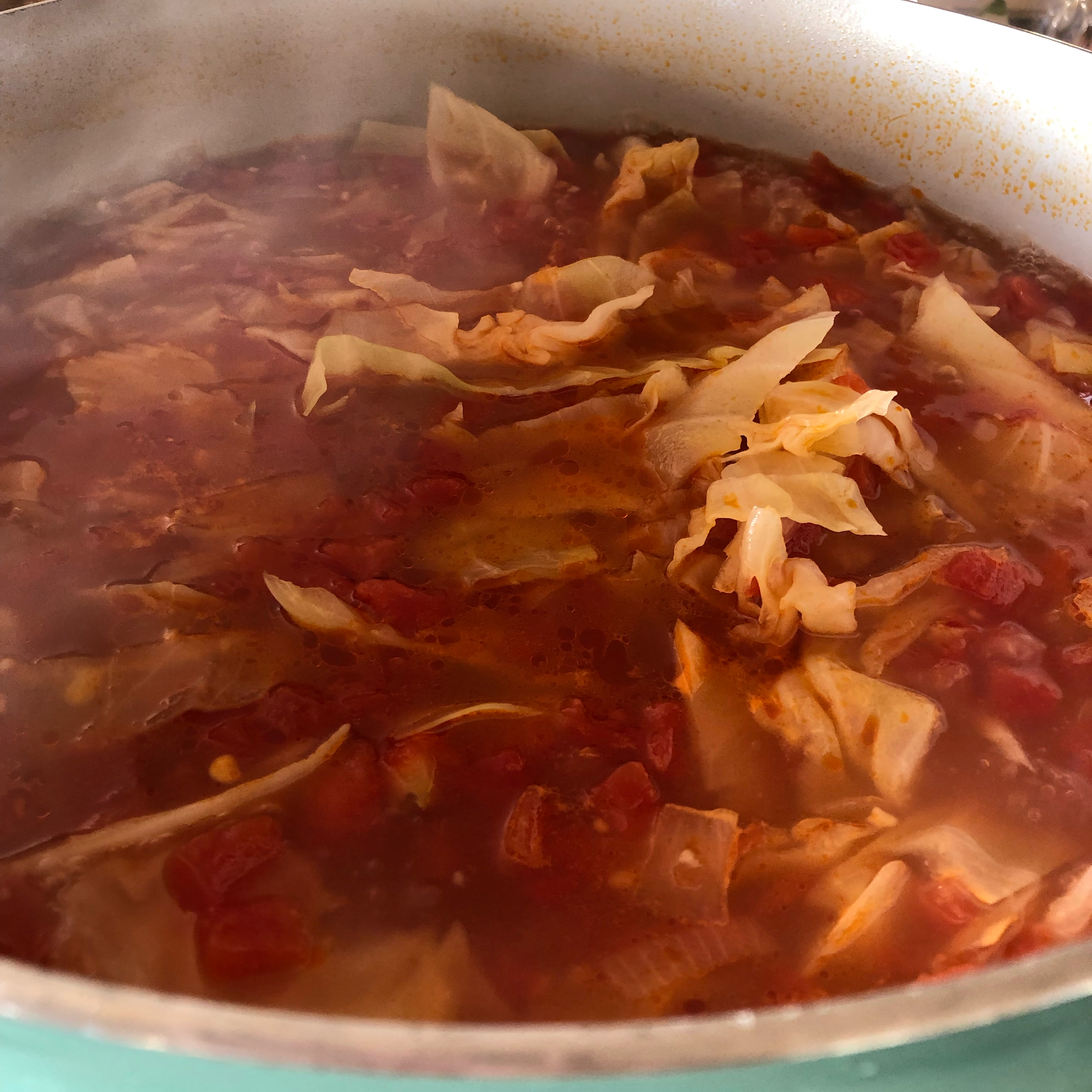 Healing Cabbage Soup abqmeaghan