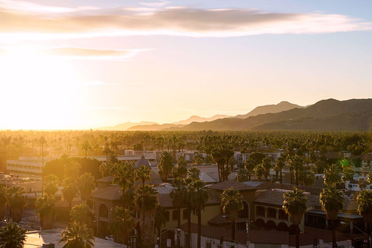 Sunrise light is golden at his hits the palm trees of Palm Springs, California