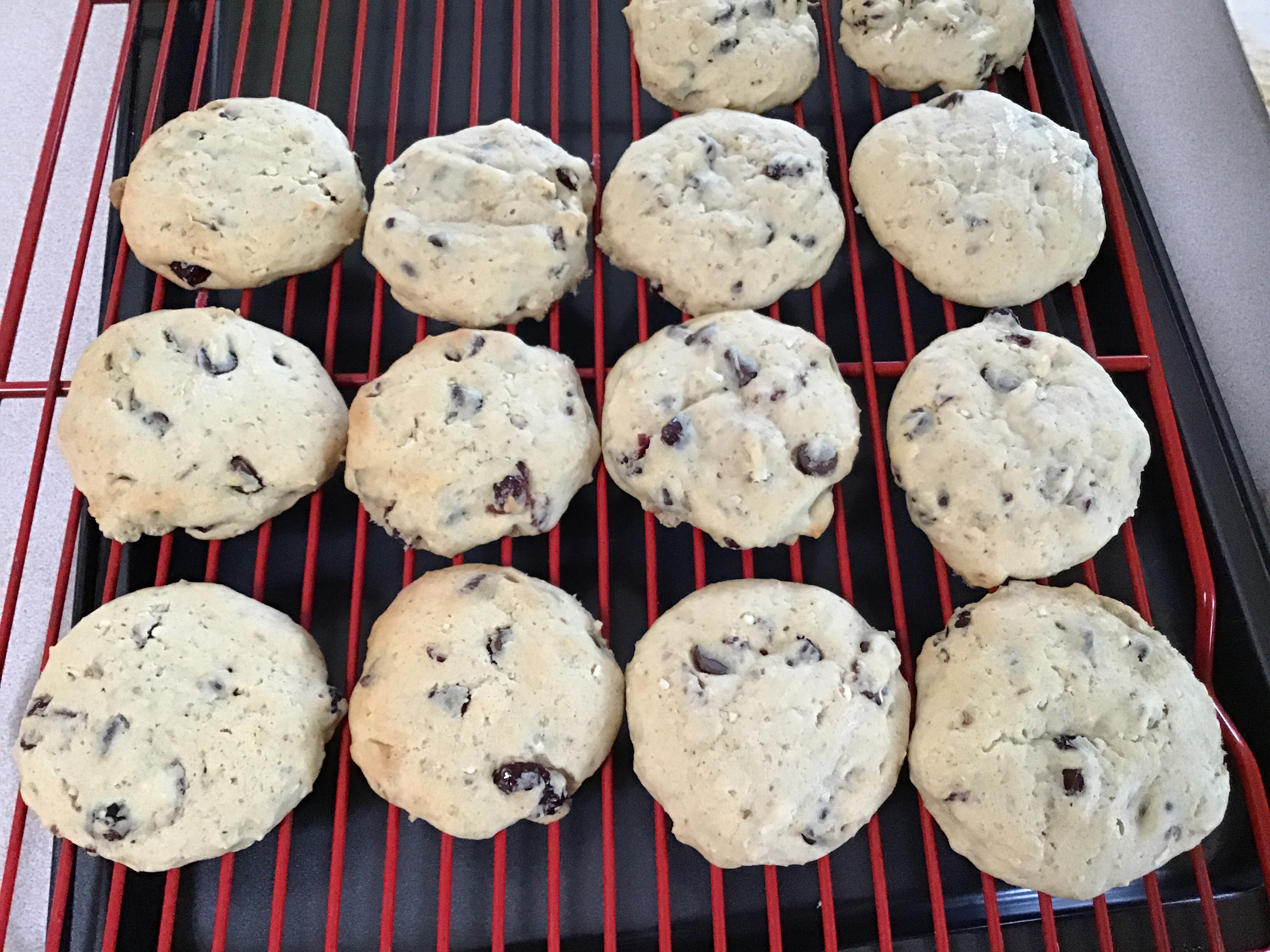 Sour Cream Chocolate Chip Cookies Kathy