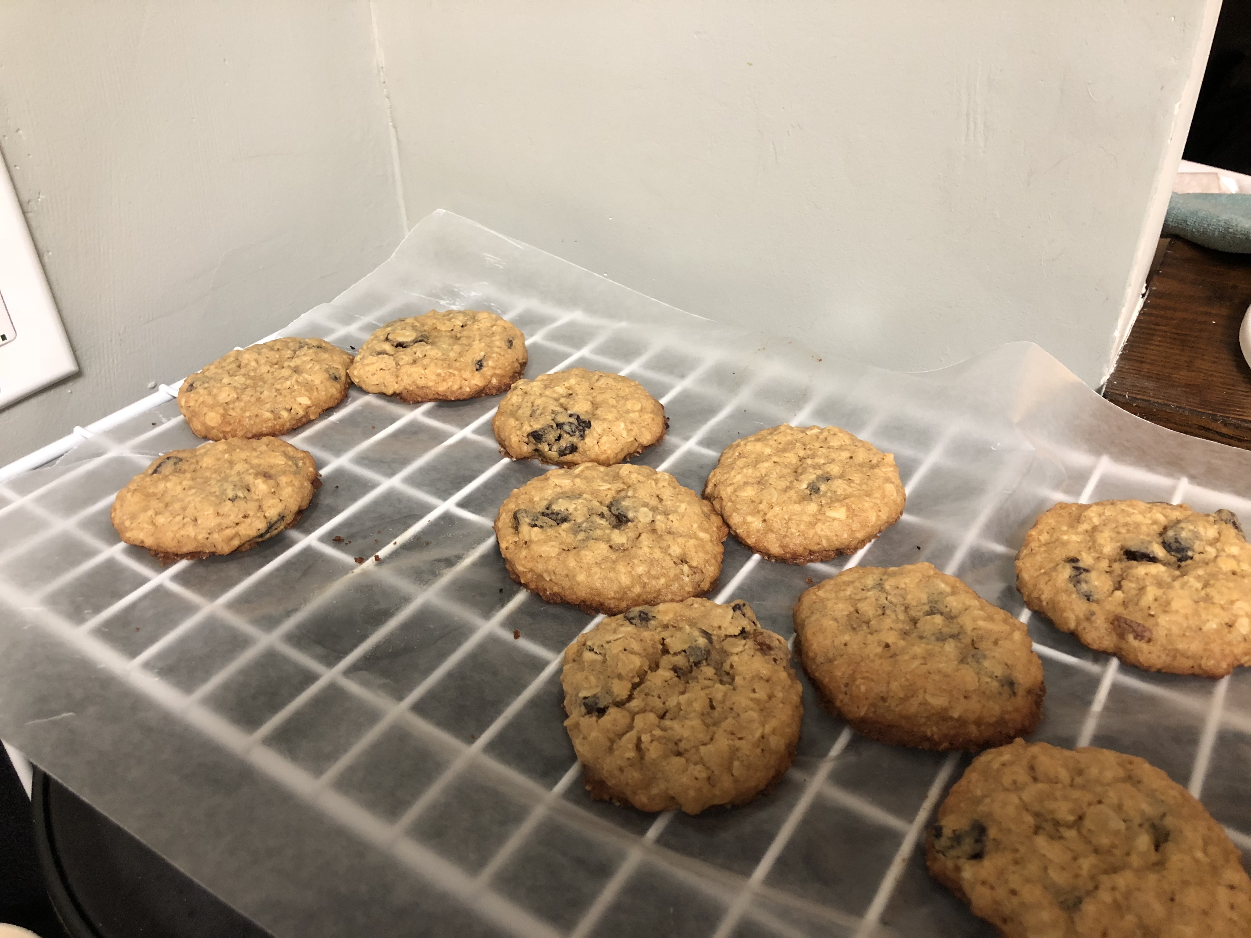 Oatmeal Raisin Cookies VII 