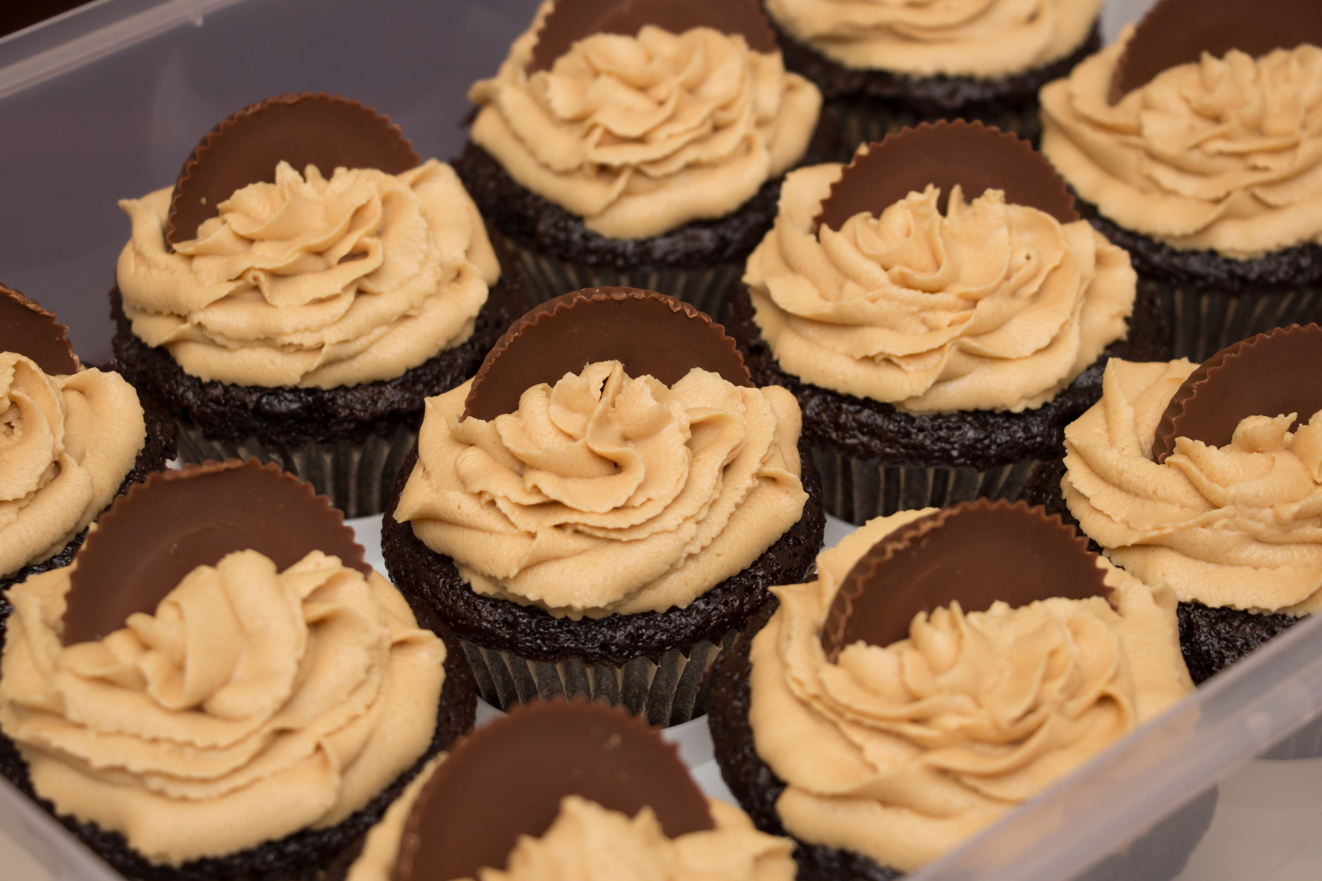 Peanut Butter Frosting 