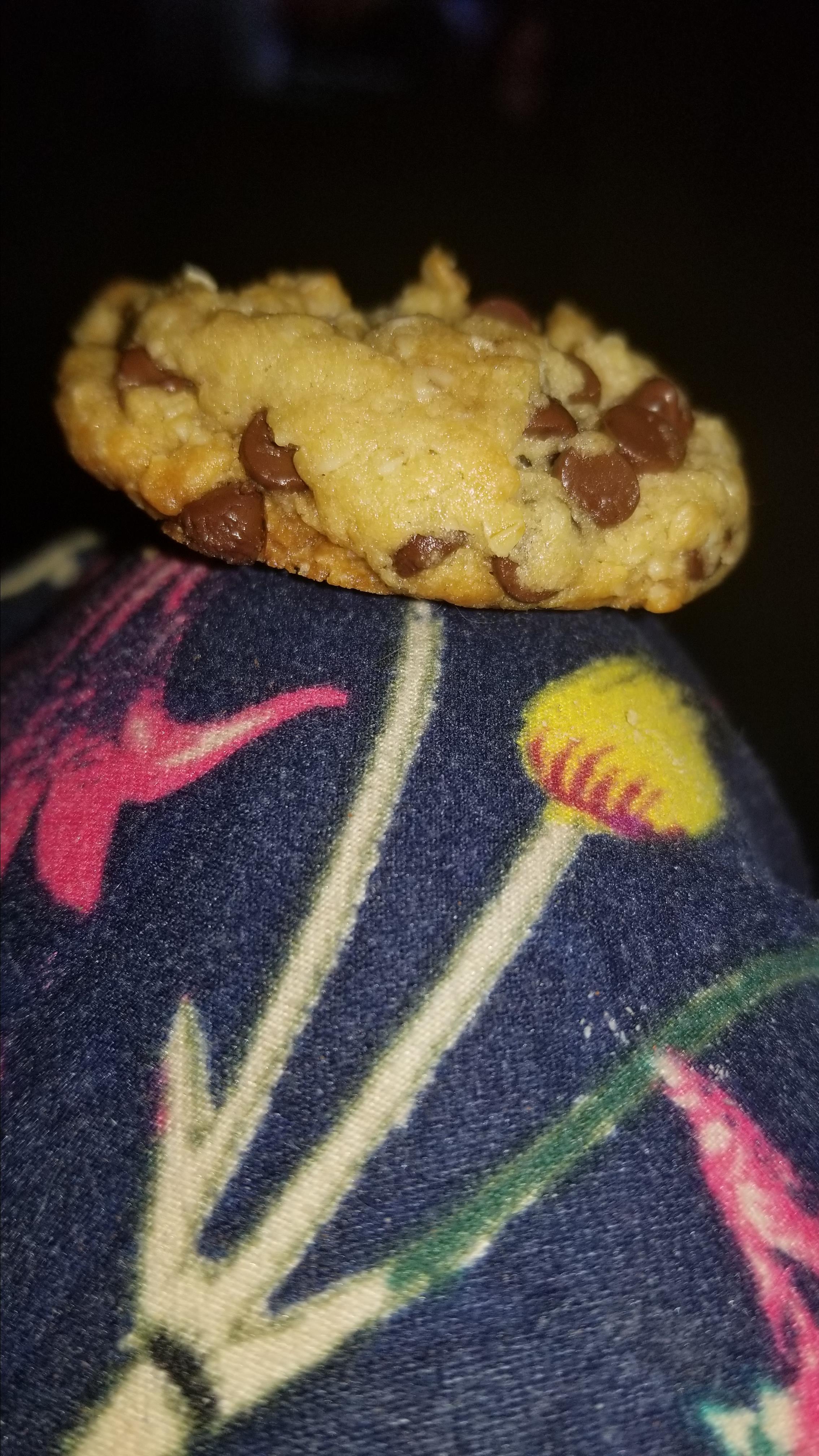 Oatmeal Chocolate Chip Cookies III 