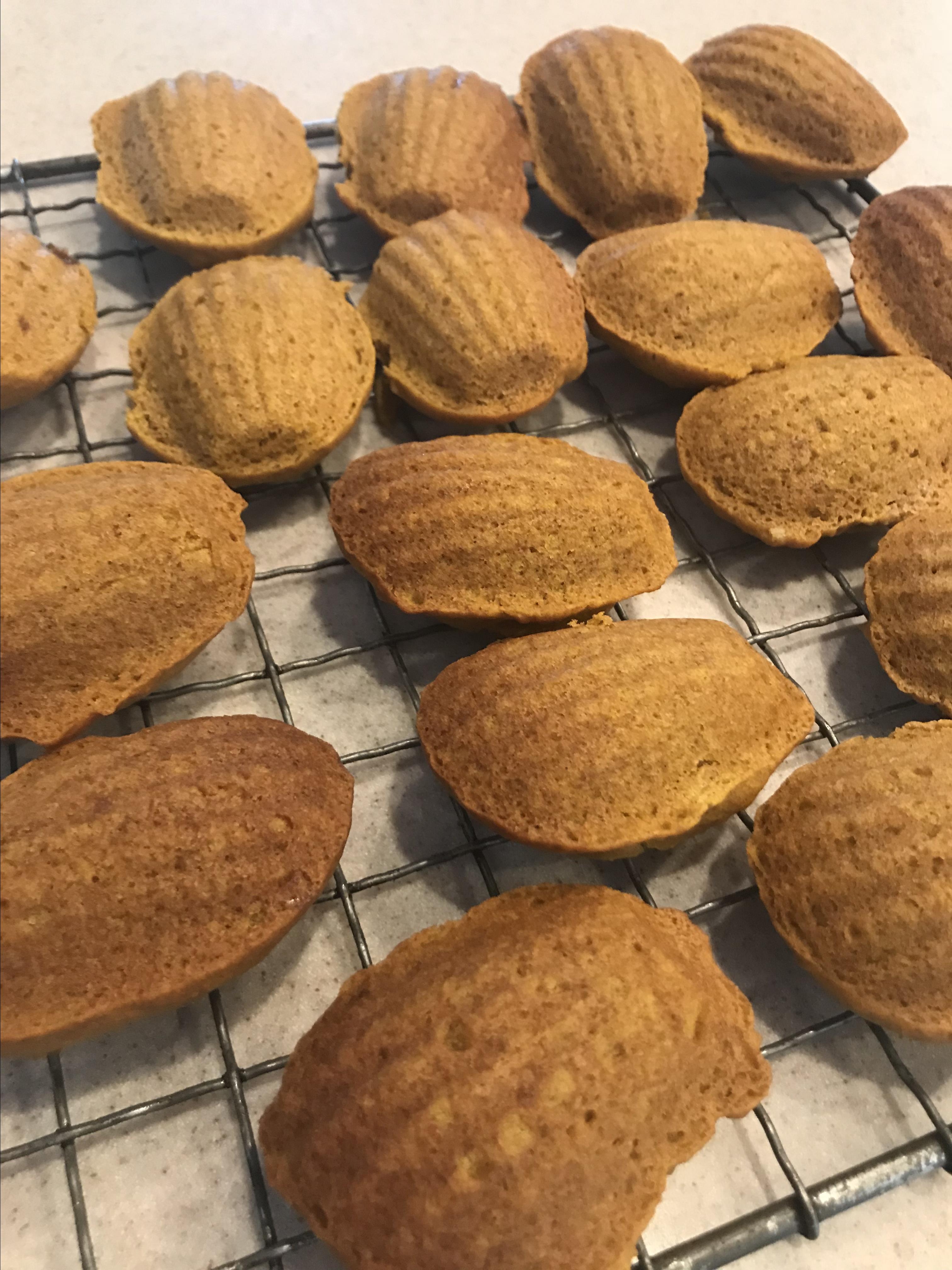 Pumpkin Almond Mini Muffins Jorji