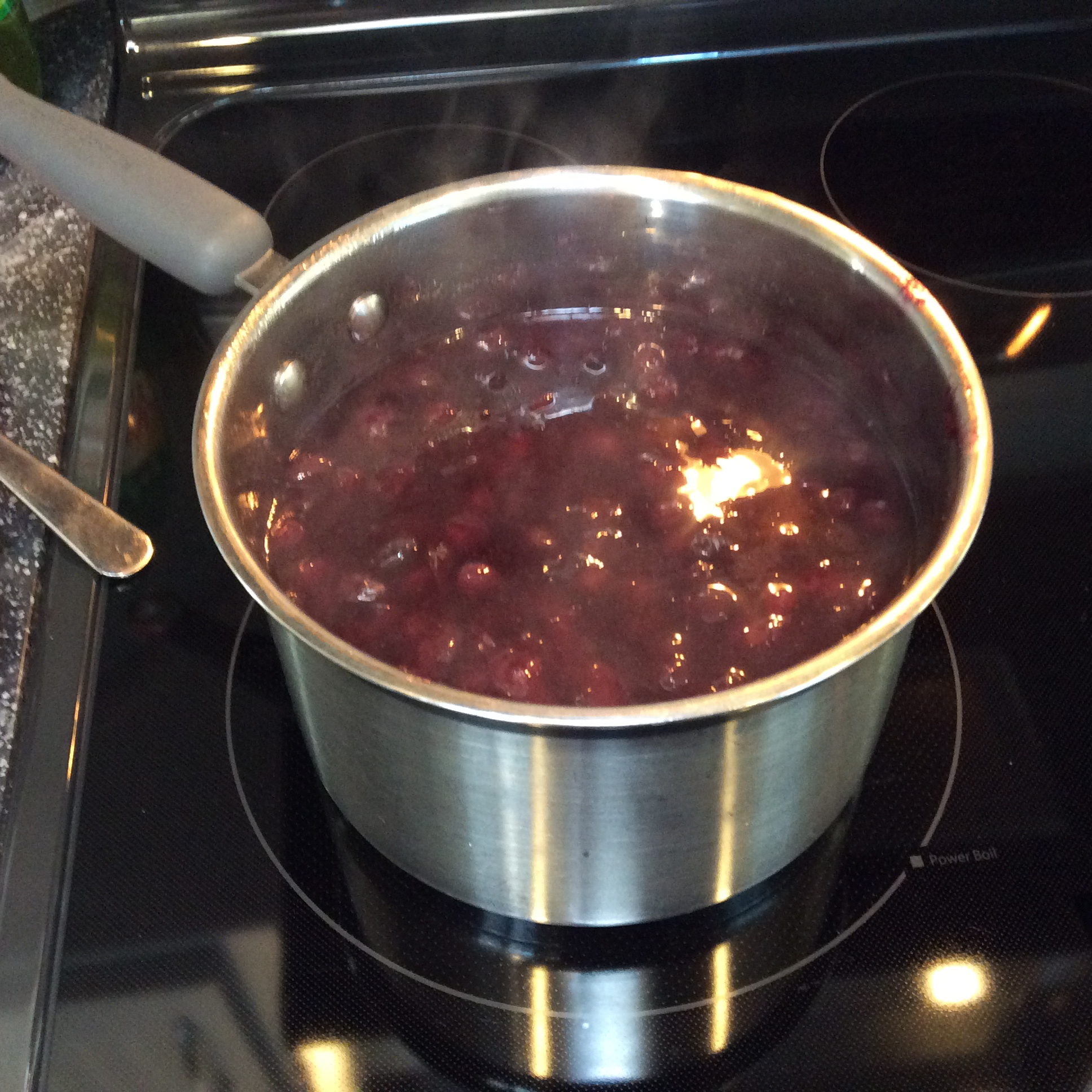Blueberry Simple Syrup 