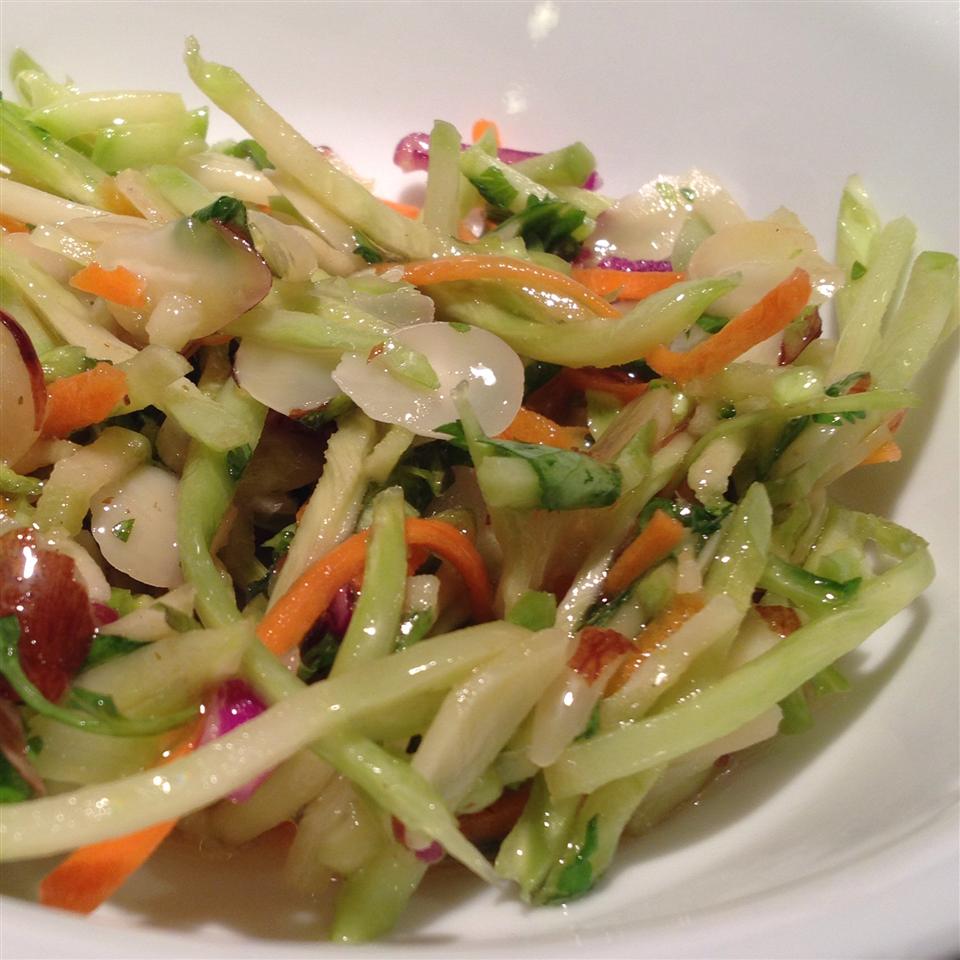 Easy Broccoli Slaw Salad sammydagonz