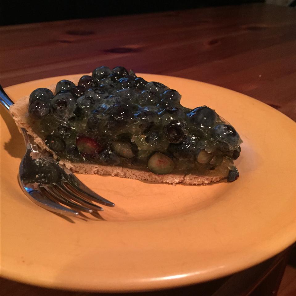 Jan's Fresh Blueberry Pie 