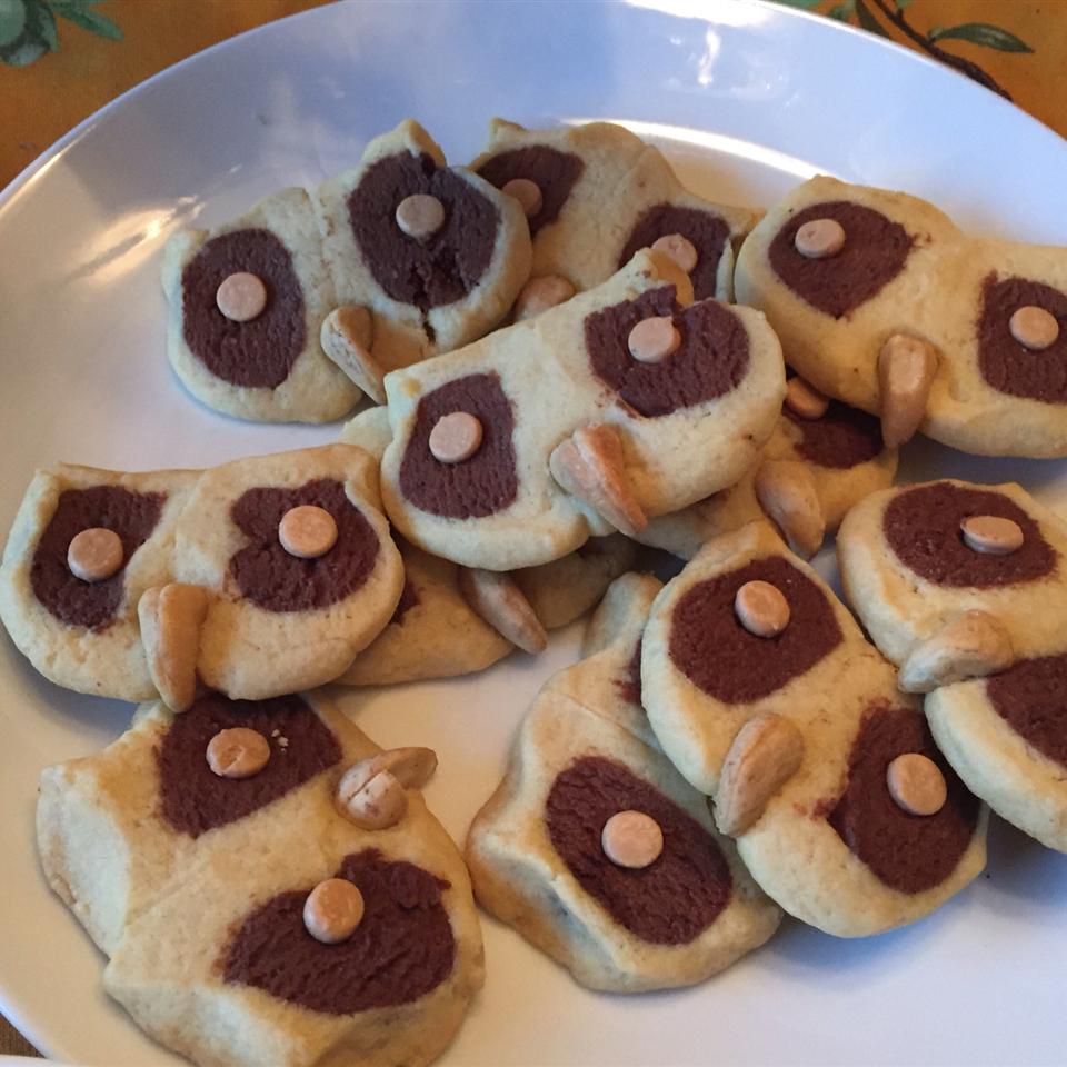 Hoot Owl Cookies 