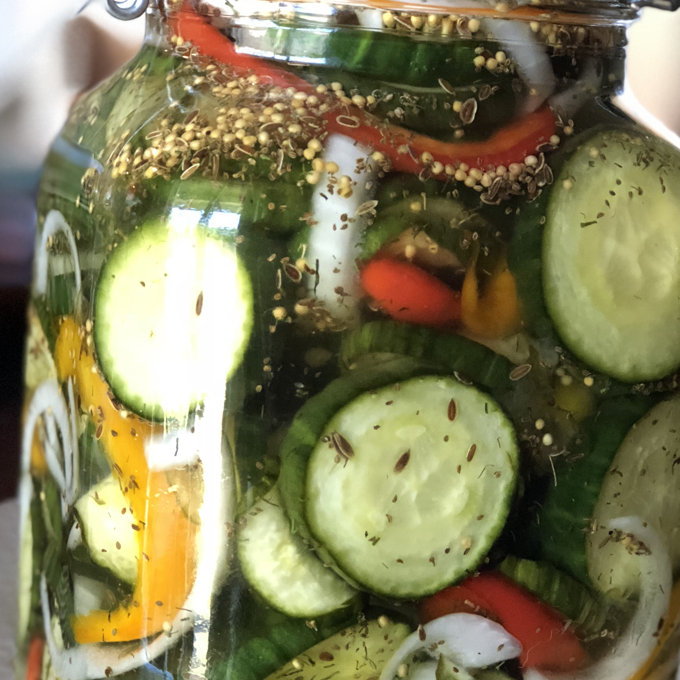 Homemade Refrigerator Pickles 