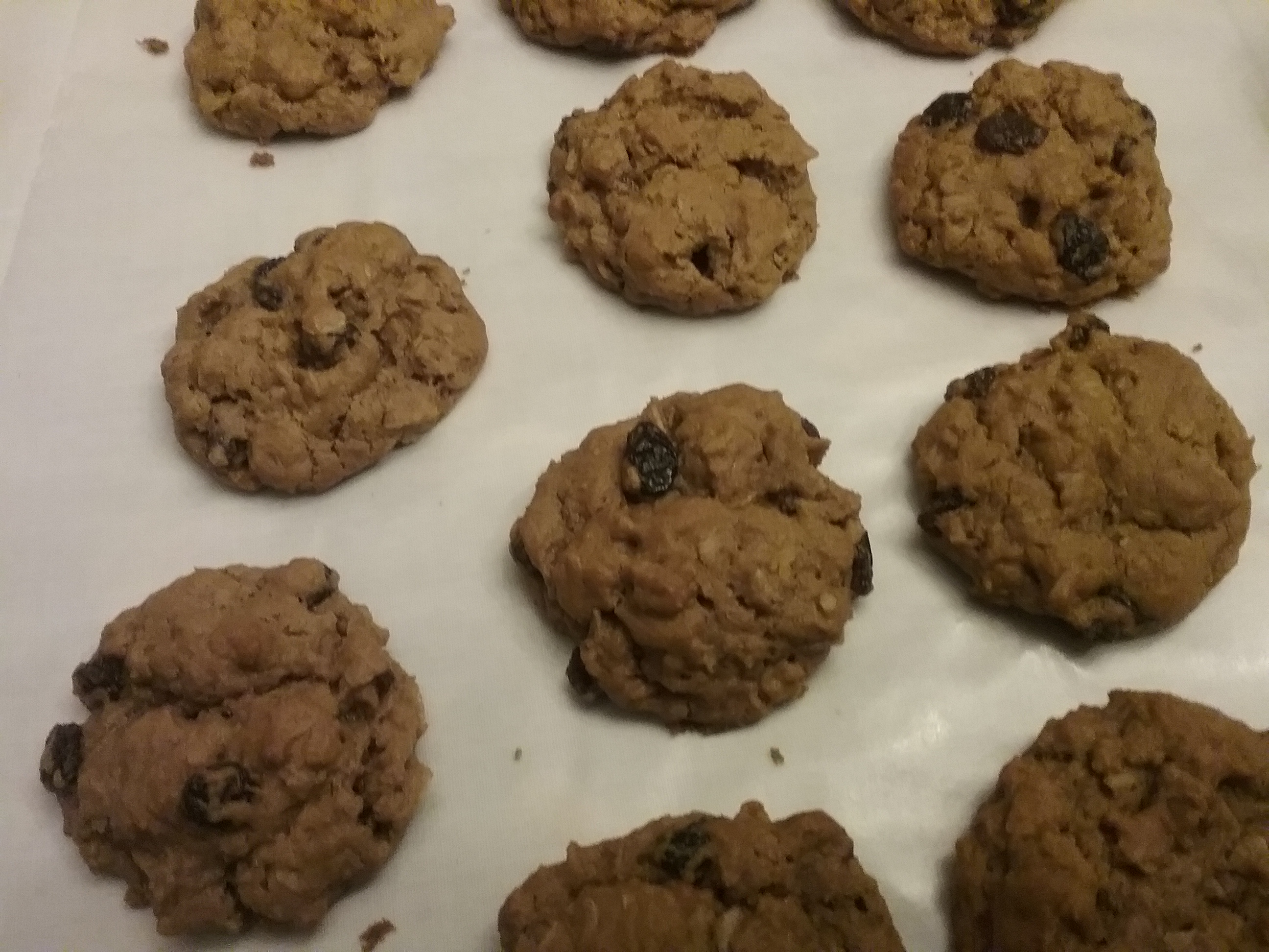 WWII Oatmeal Molasses Cookies 