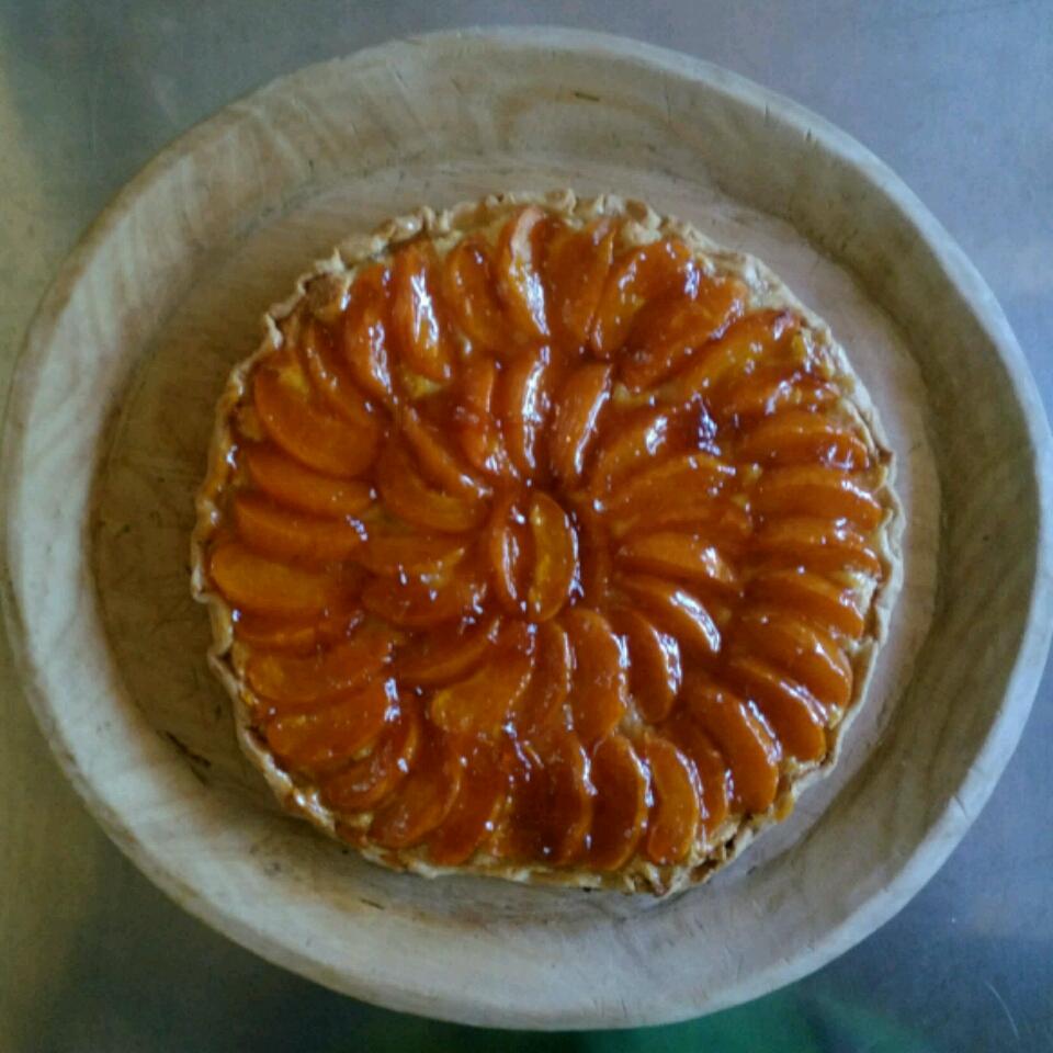 Apricot Almond Galette Lana Lee Plum