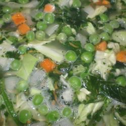 Spring Vegetable Soup 