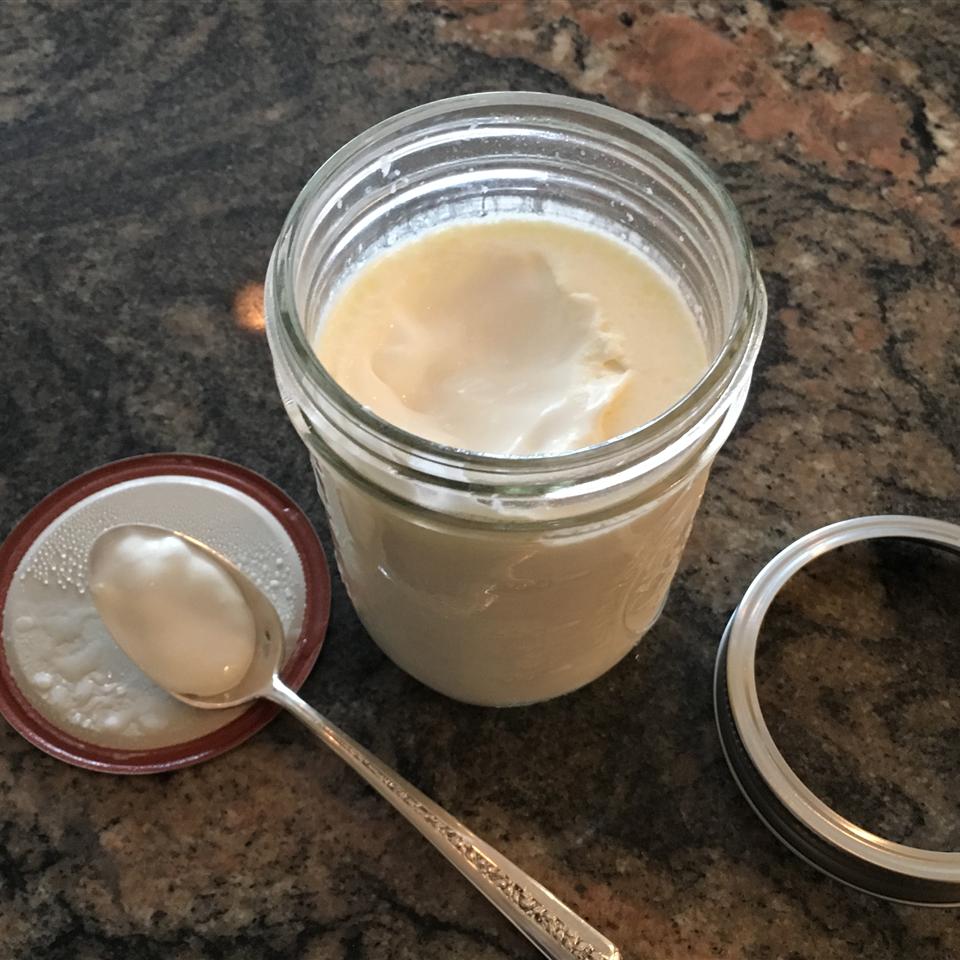 Authentic Homemade Yogurt terry