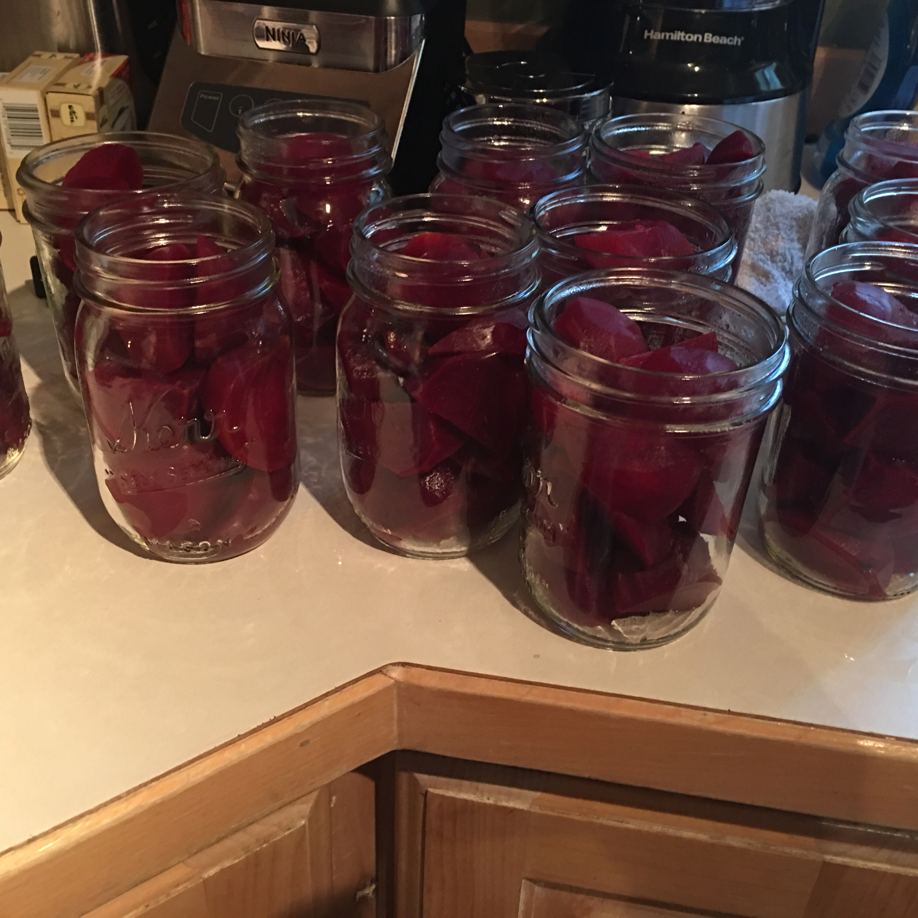 Pickled Beets 