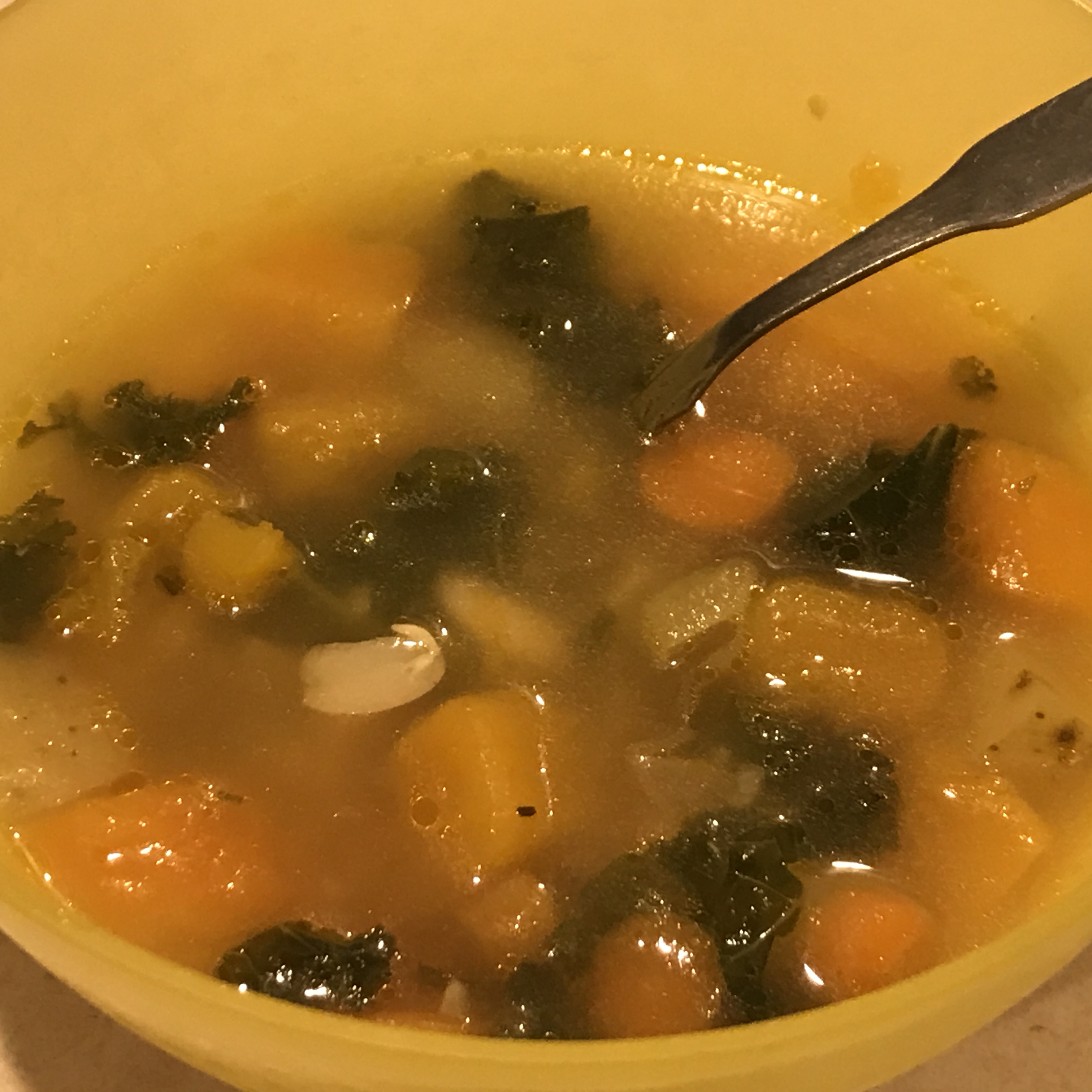 Butternut Vegetable Soup 
