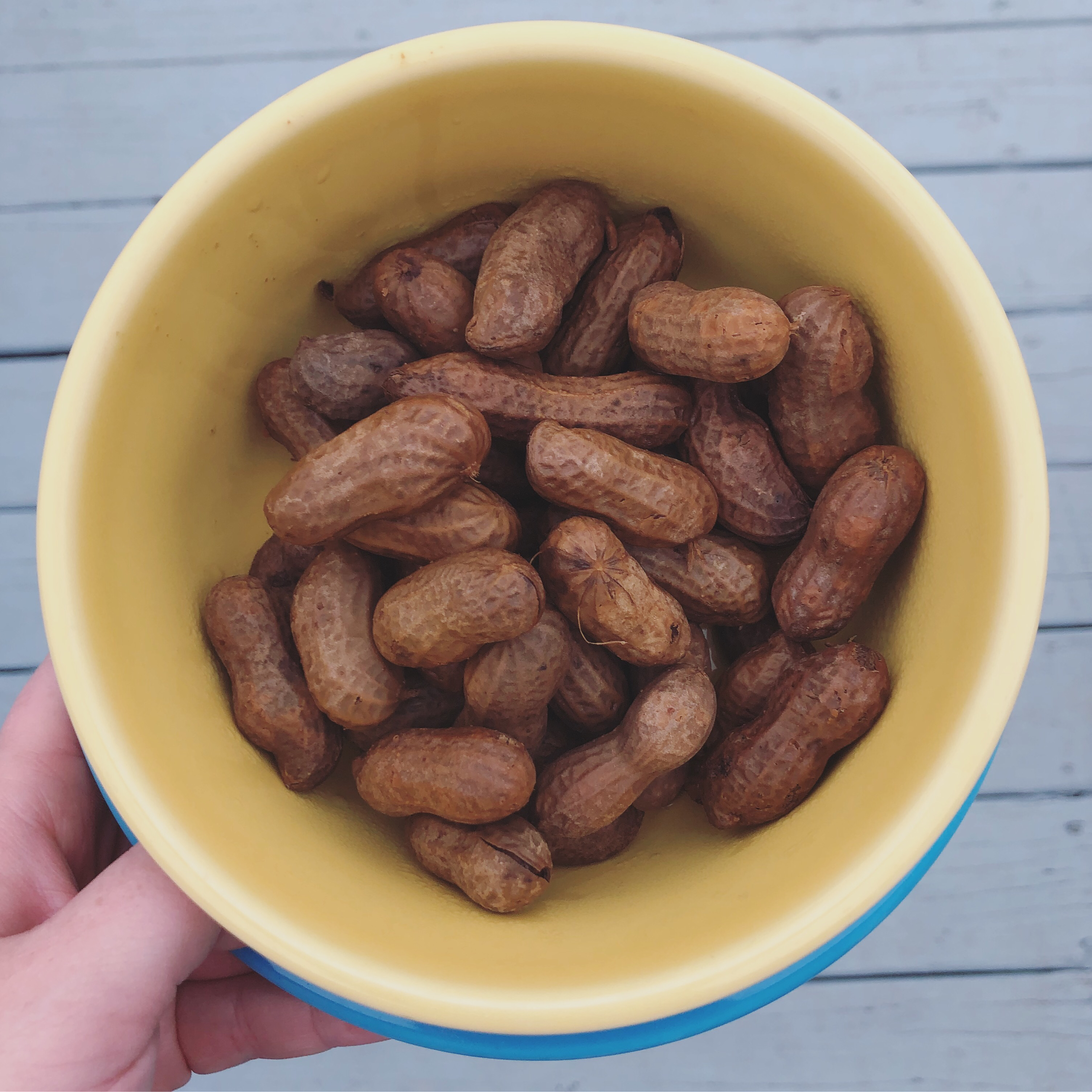 Rachael's Superheated Cajun Boiled Peanuts Emily