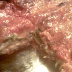 Spinach Lasagna II