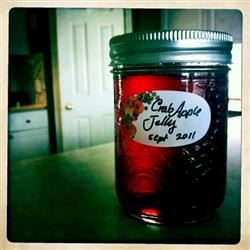 Mary Wynne's Crabapple Jelly 