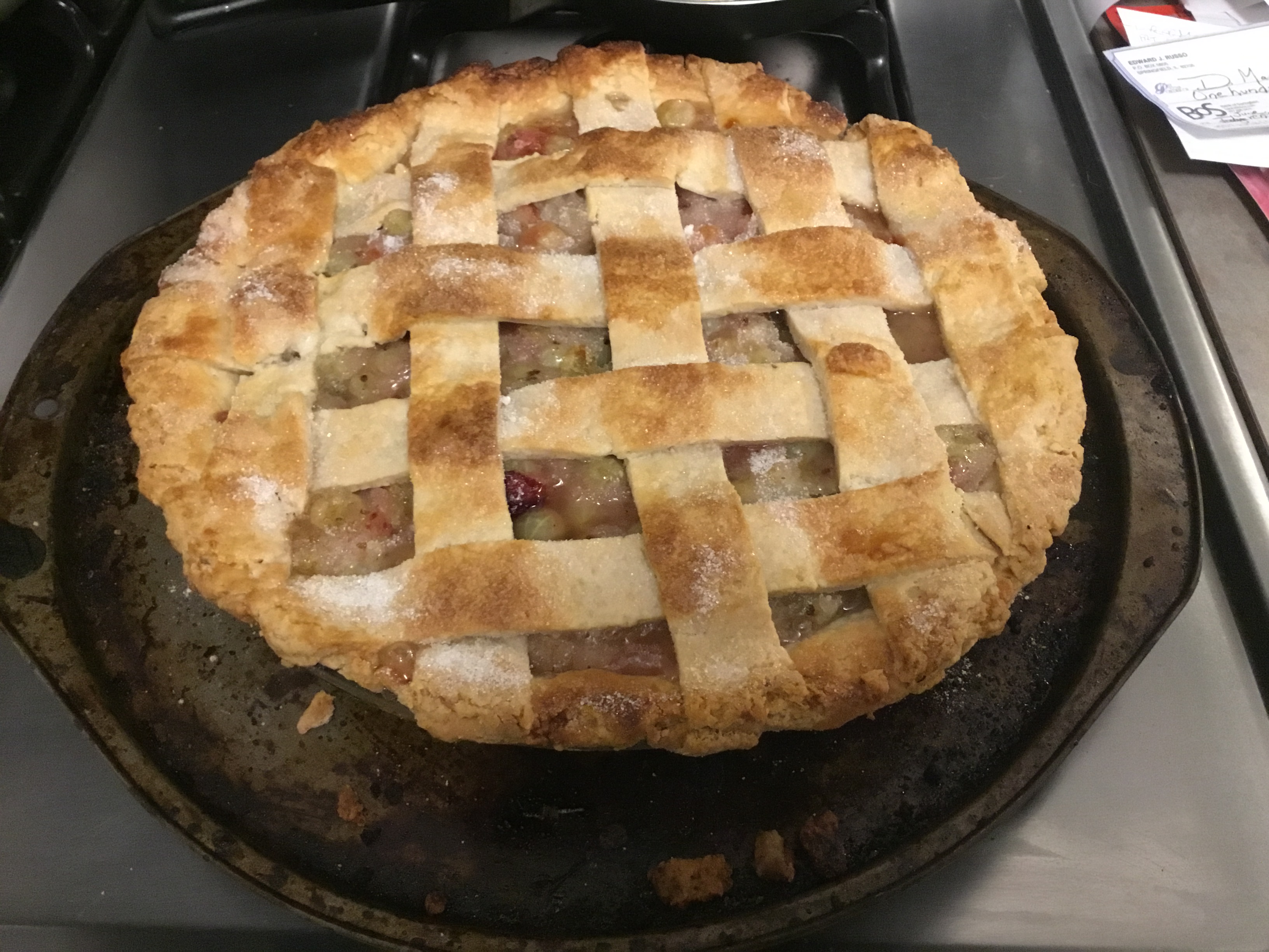 Gooseberry Pie I Douglas Mayol