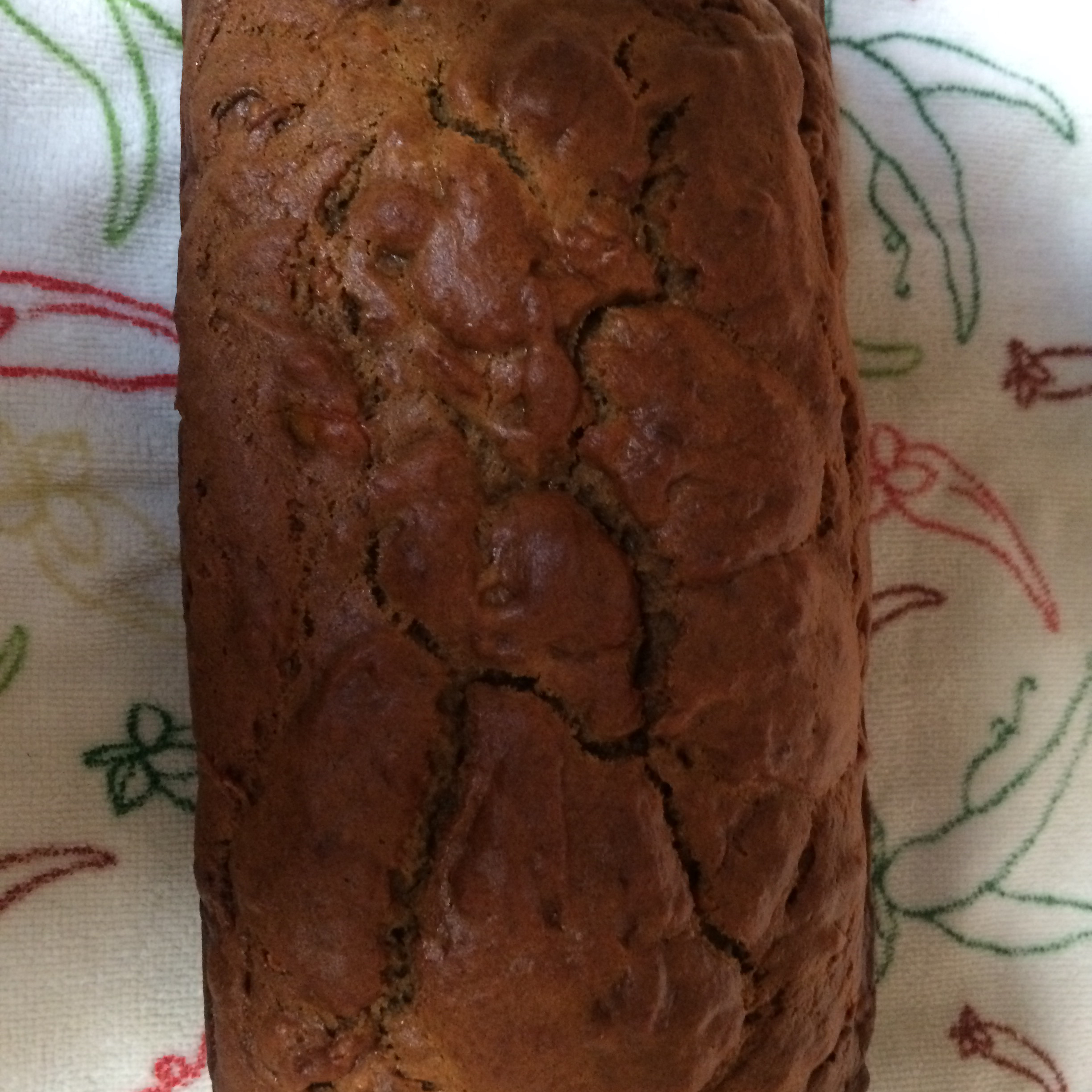 Persimmon Bread I 