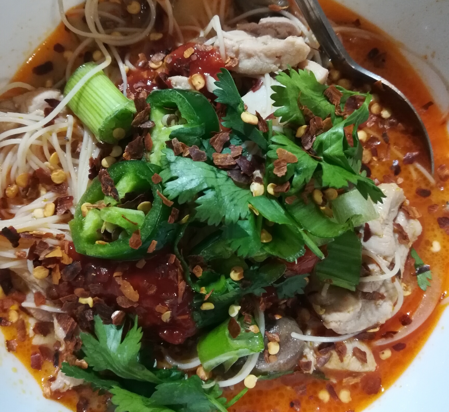 Spicy Chicken Thai Soup 