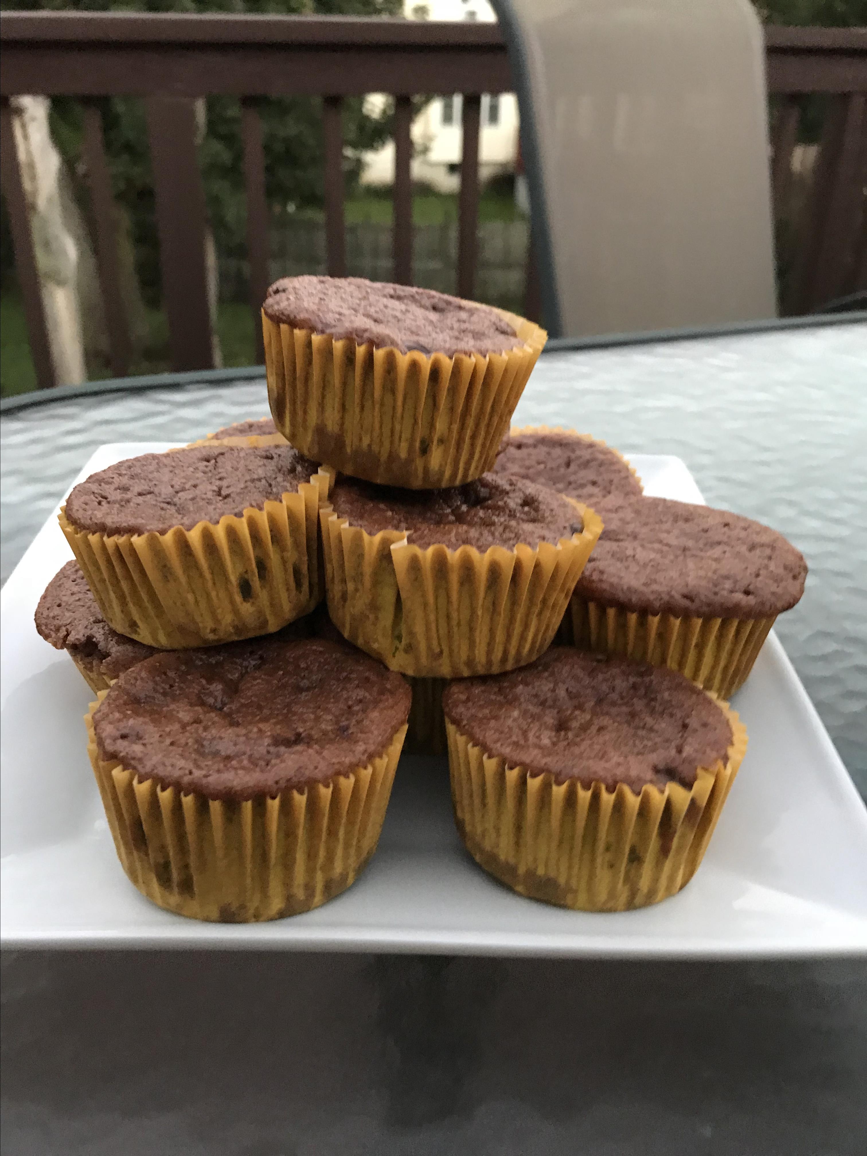 Chocolate Protein Muffins 
