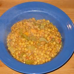 Tomato-Curry Lentil Stew 