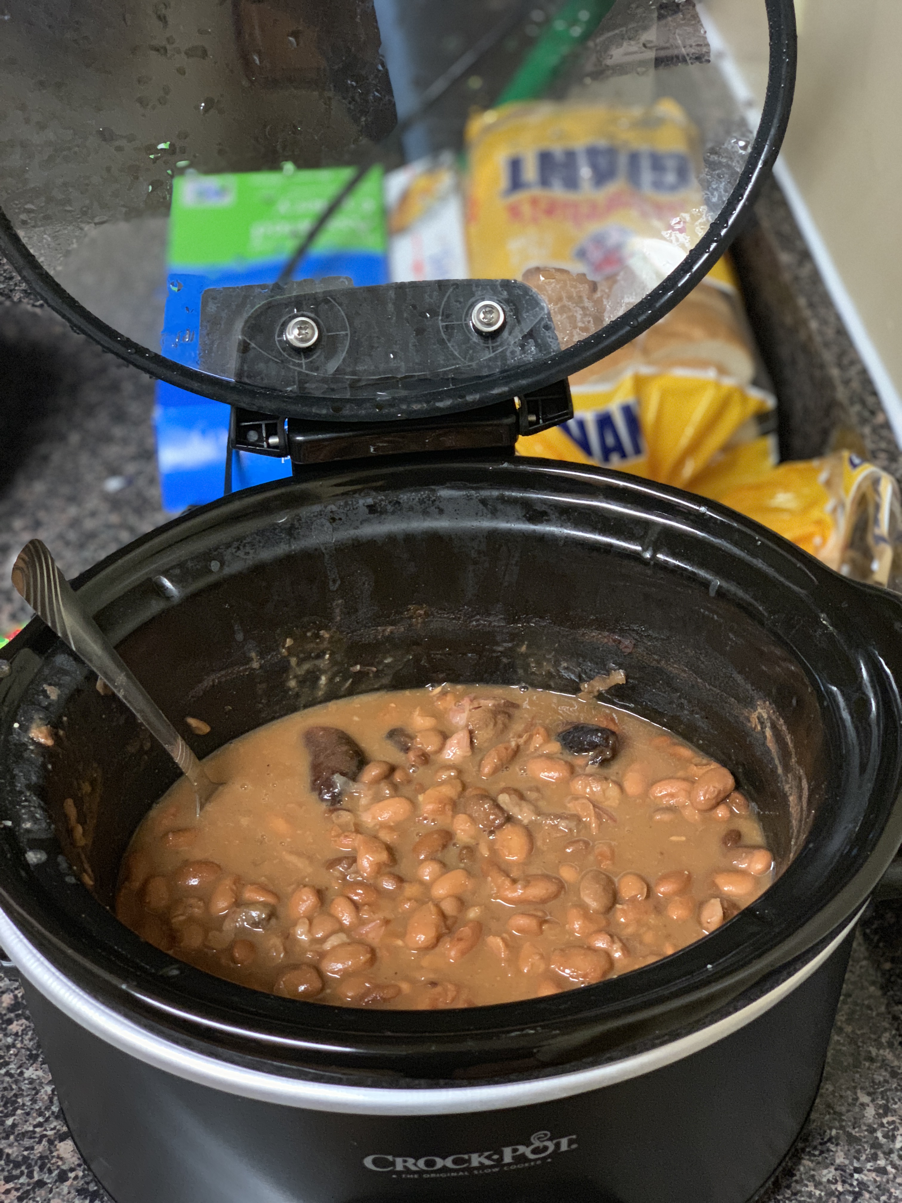 Slow Cooker Pinto Beans 