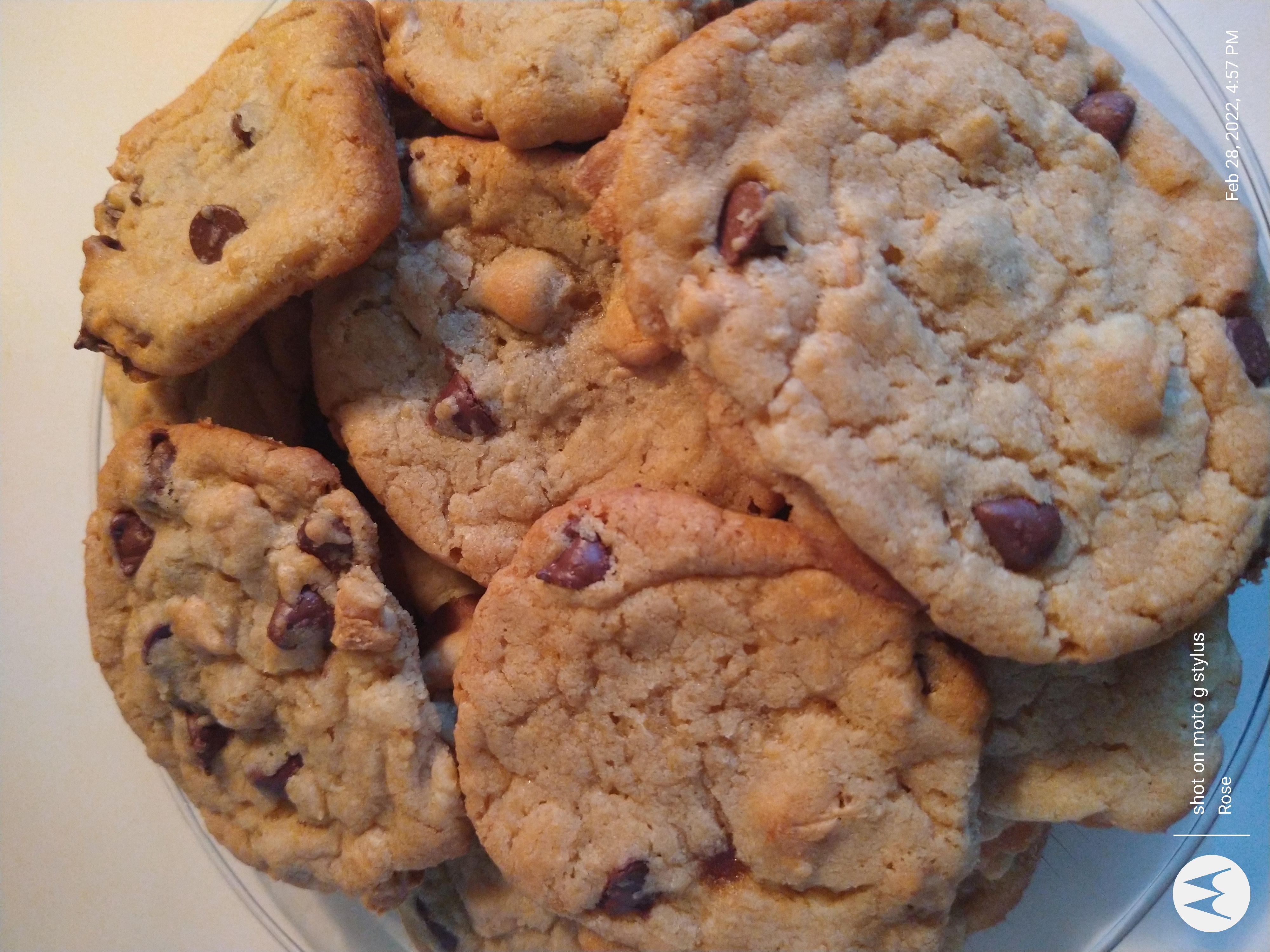 Absolutely the Best Chocolate Chip Cookies RoseMarie Gonzalez