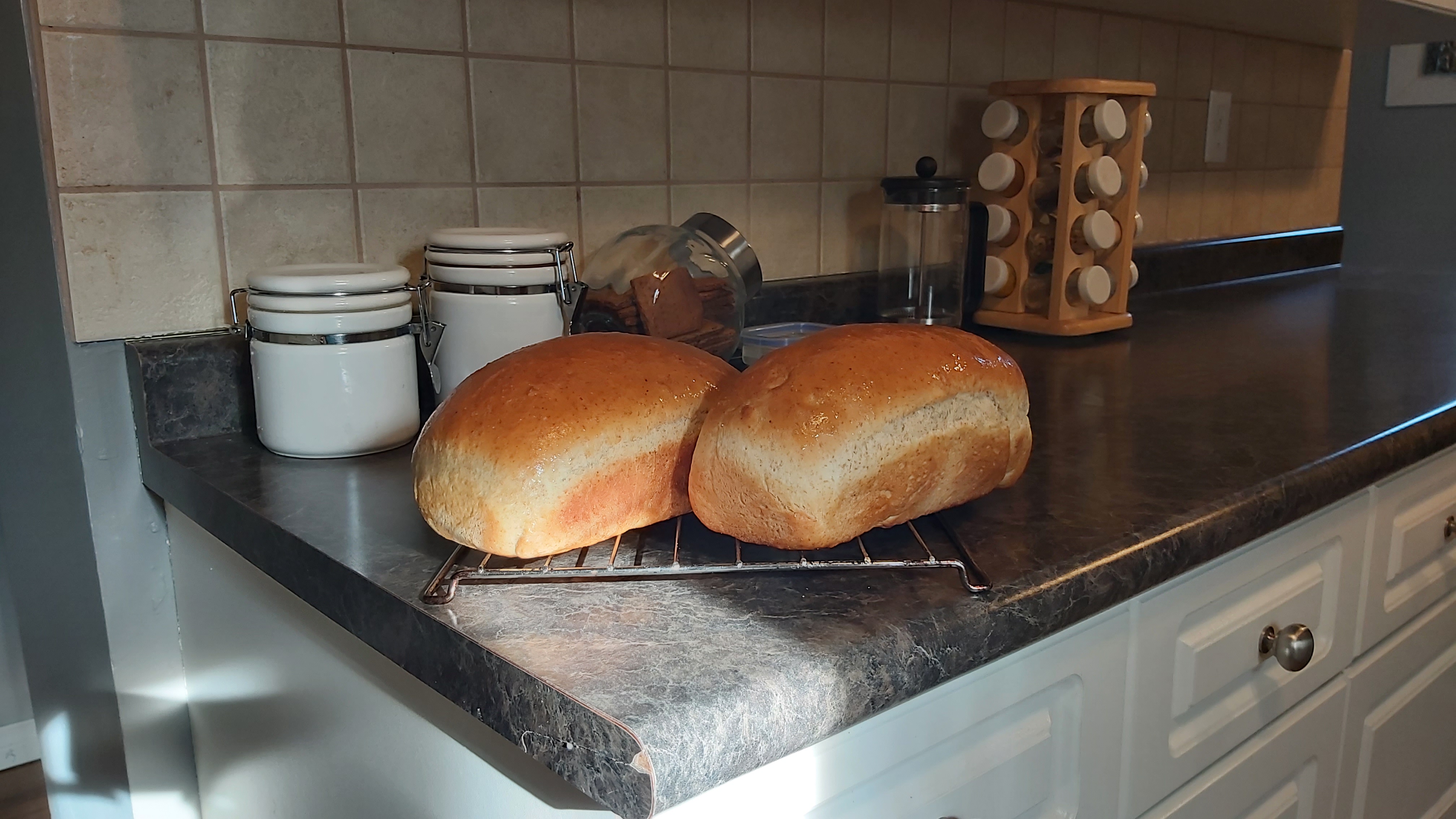Simple Whole Wheat Bread Allrecipes Member