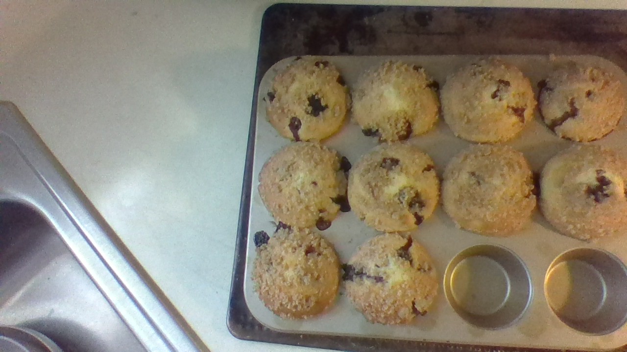 To Die For Blueberry Muffins 