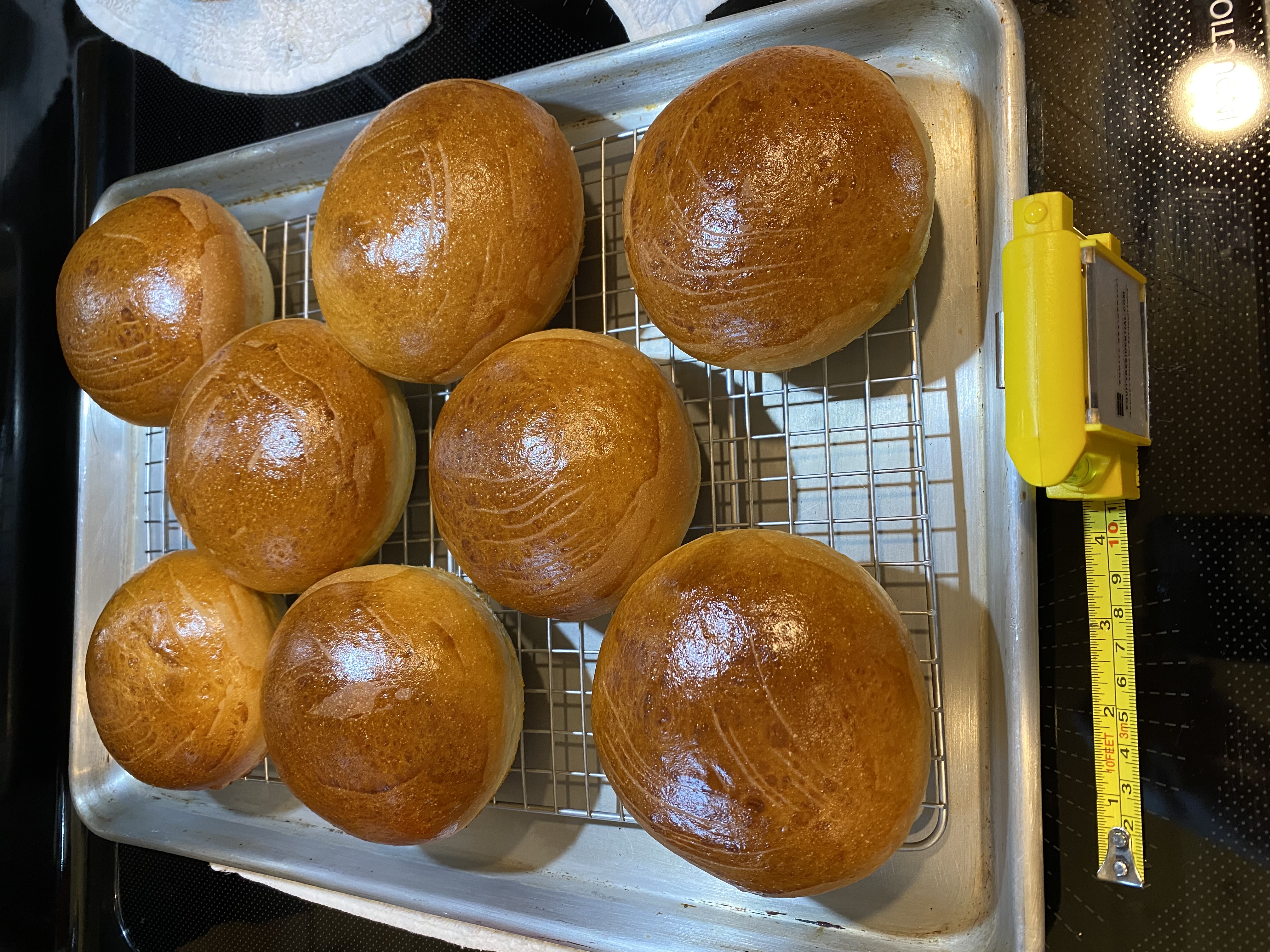 Homemade Hamburger Buns 