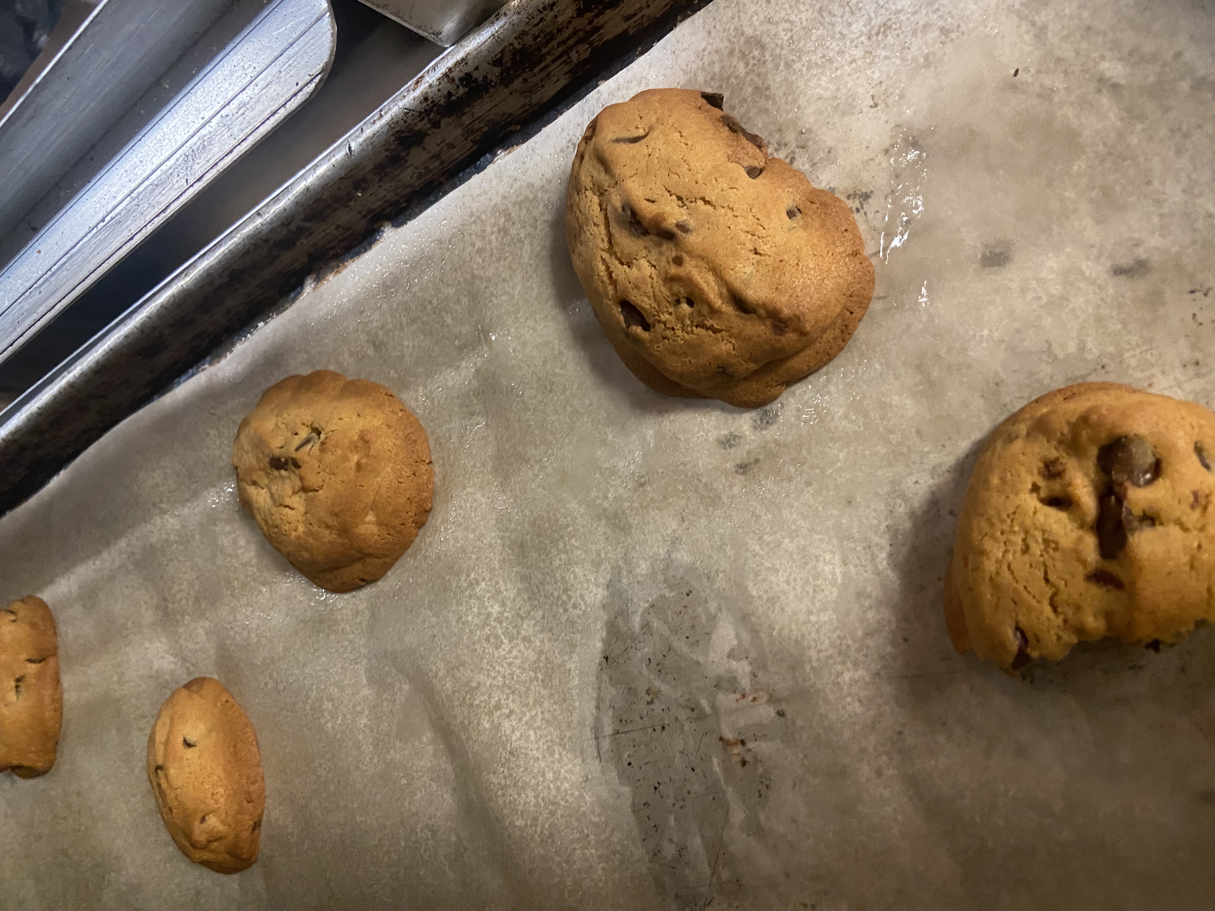 Chocolate Chip Pudding Cookies Allrecipes Member