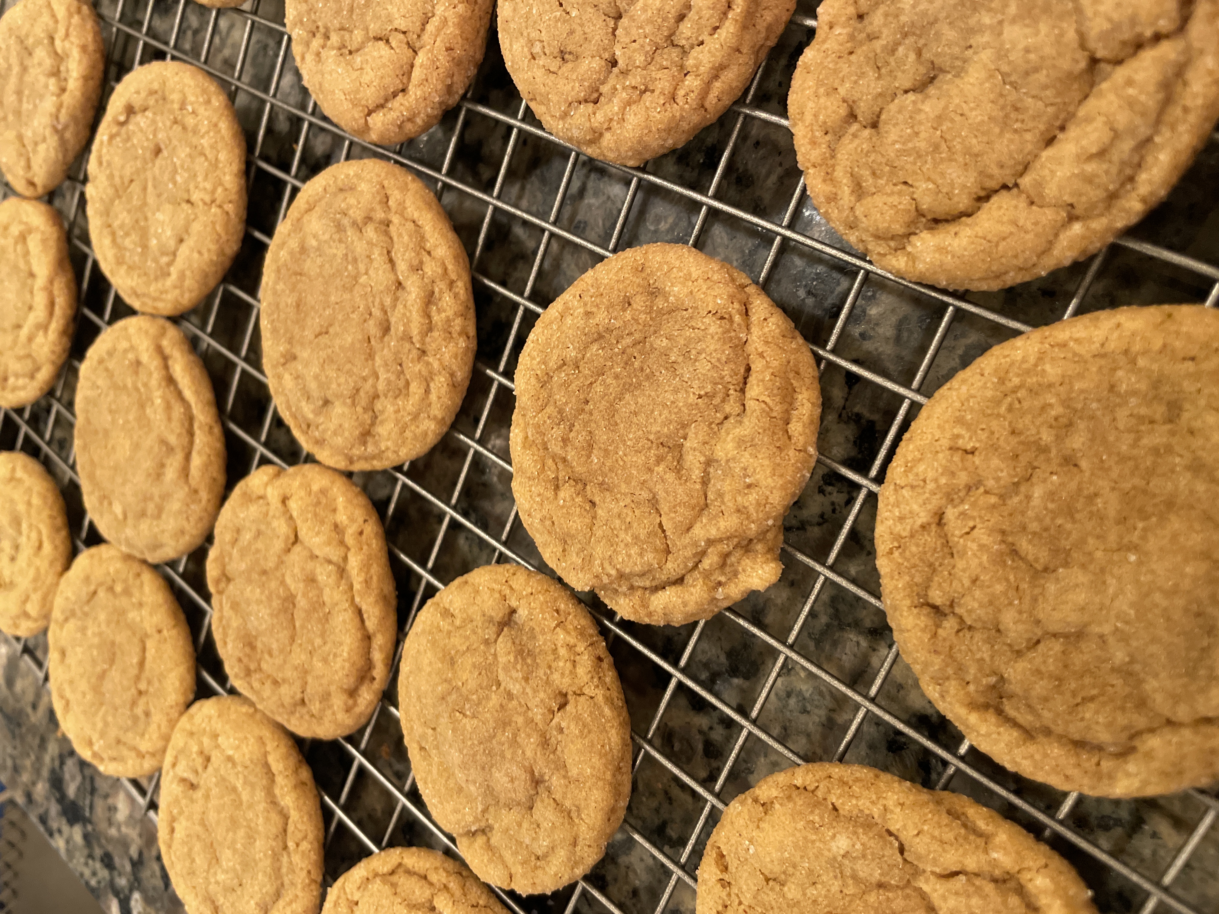 Big Soft Ginger Cookies Jennifer Nutt Tanner